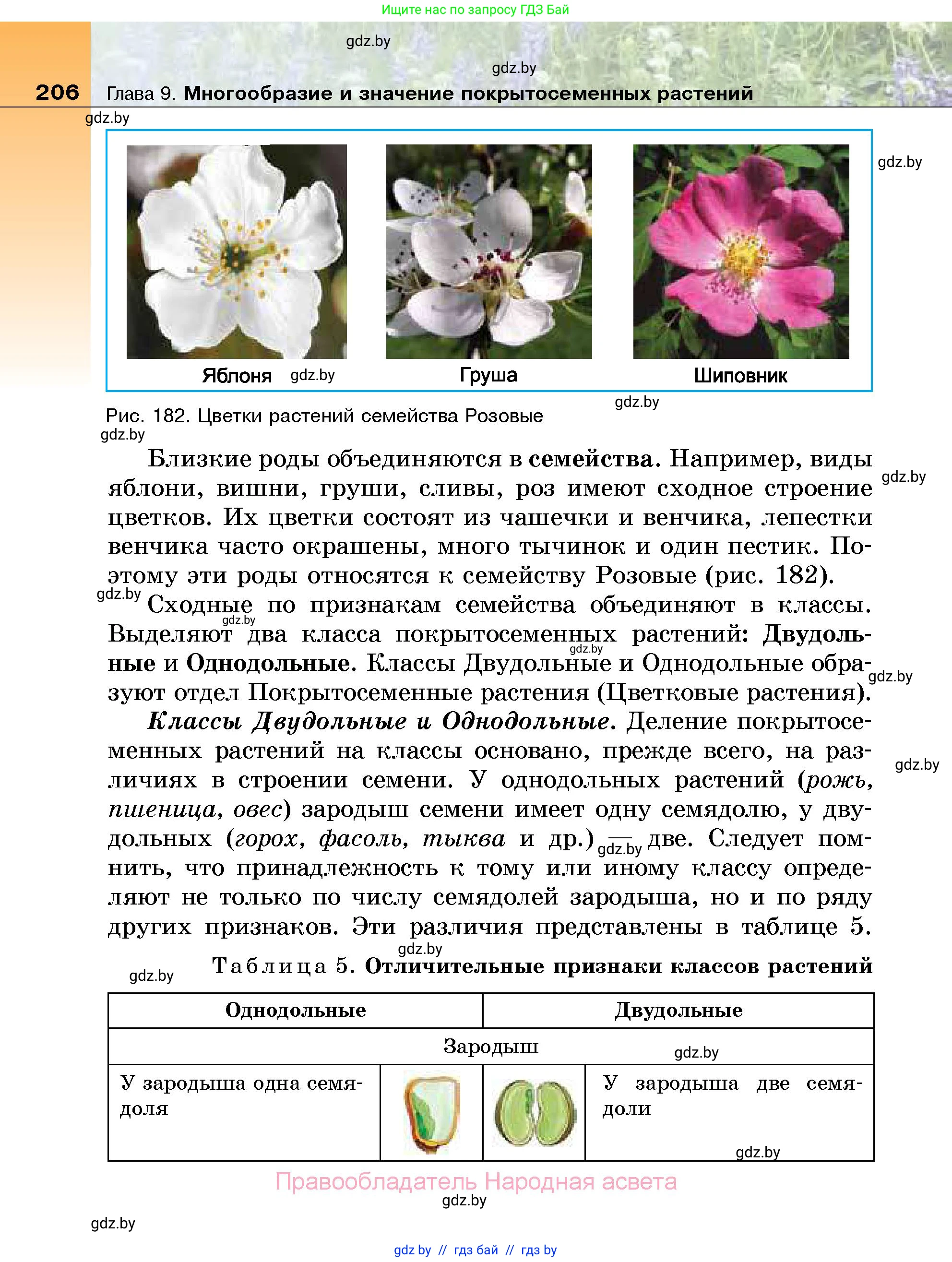 Биология, 7 класс Учебник, автор: Лисов Николай Дмитриевич, издательство Народная асвета, Минск, 2022, зелёного цвета, страница 206