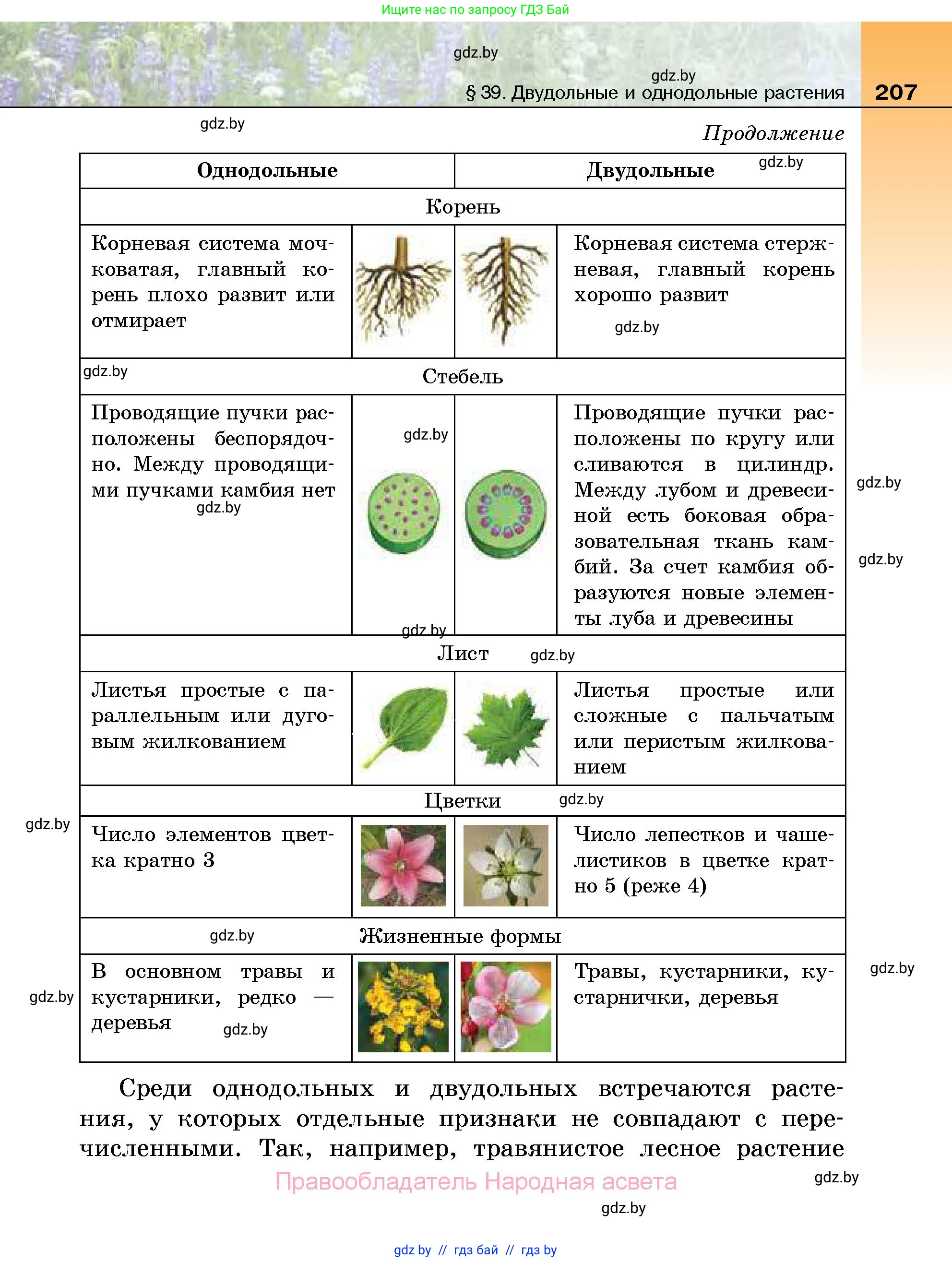 Биология, 7 класс Учебник, автор: Лисов Николай Дмитриевич, издательство Народная асвета, Минск, 2022, зелёного цвета, страница 207