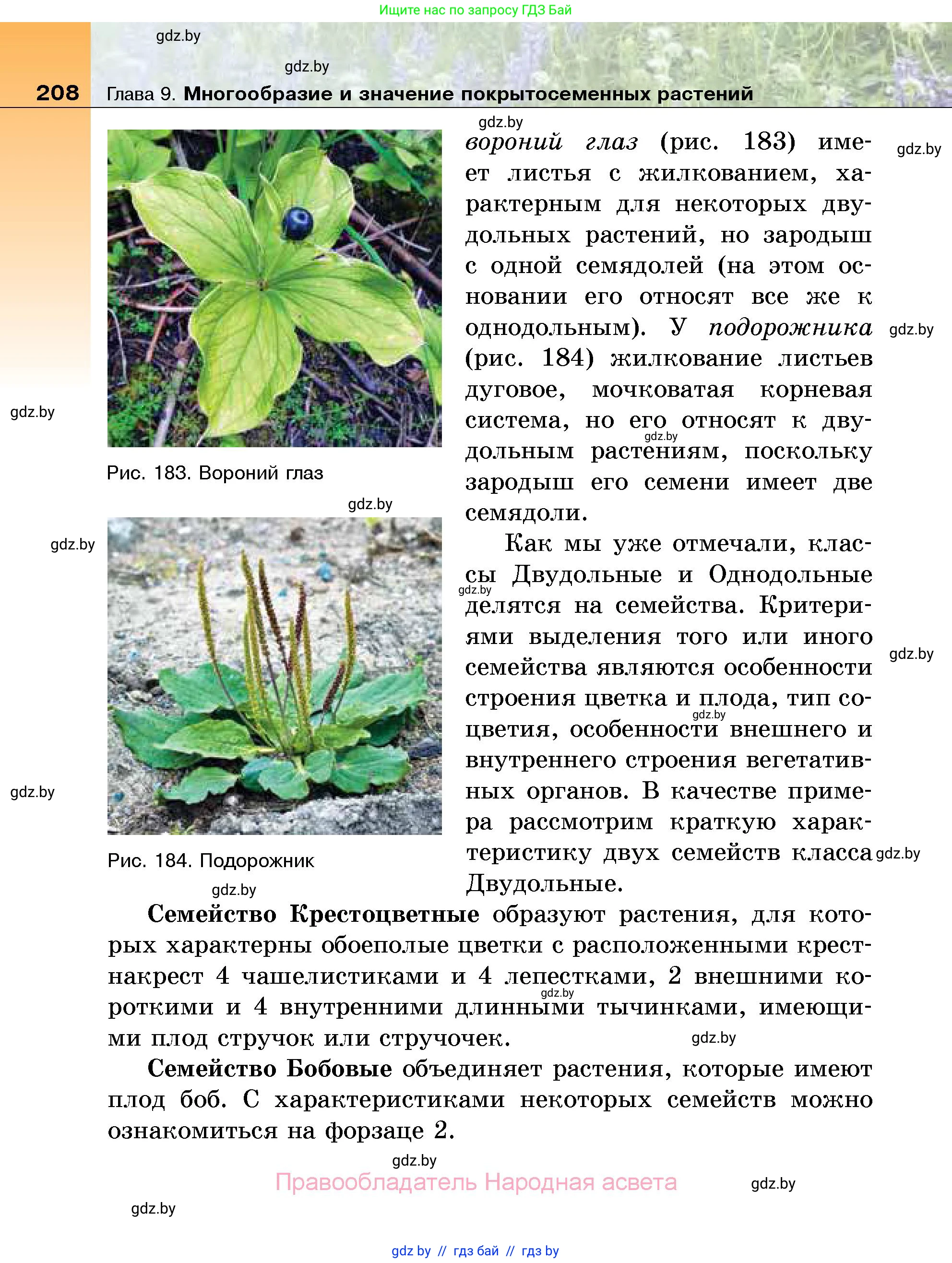 Биология, 7 класс Учебник, автор: Лисов Николай Дмитриевич, издательство Народная асвета, Минск, 2022, зелёного цвета, страница 208