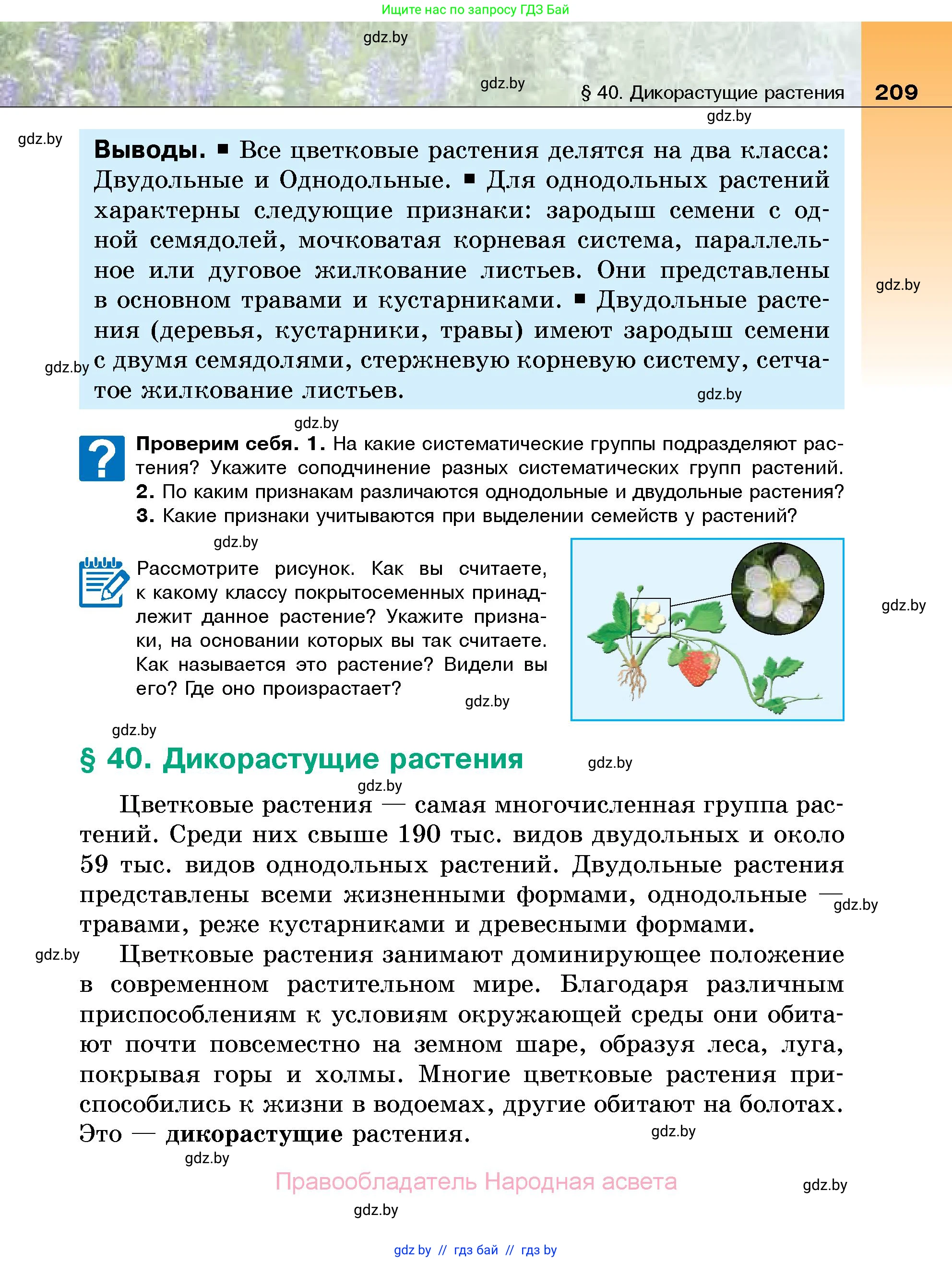 Биология, 7 класс Учебник, автор: Лисов Николай Дмитриевич, издательство Народная асвета, Минск, 2022, зелёного цвета, страница 209