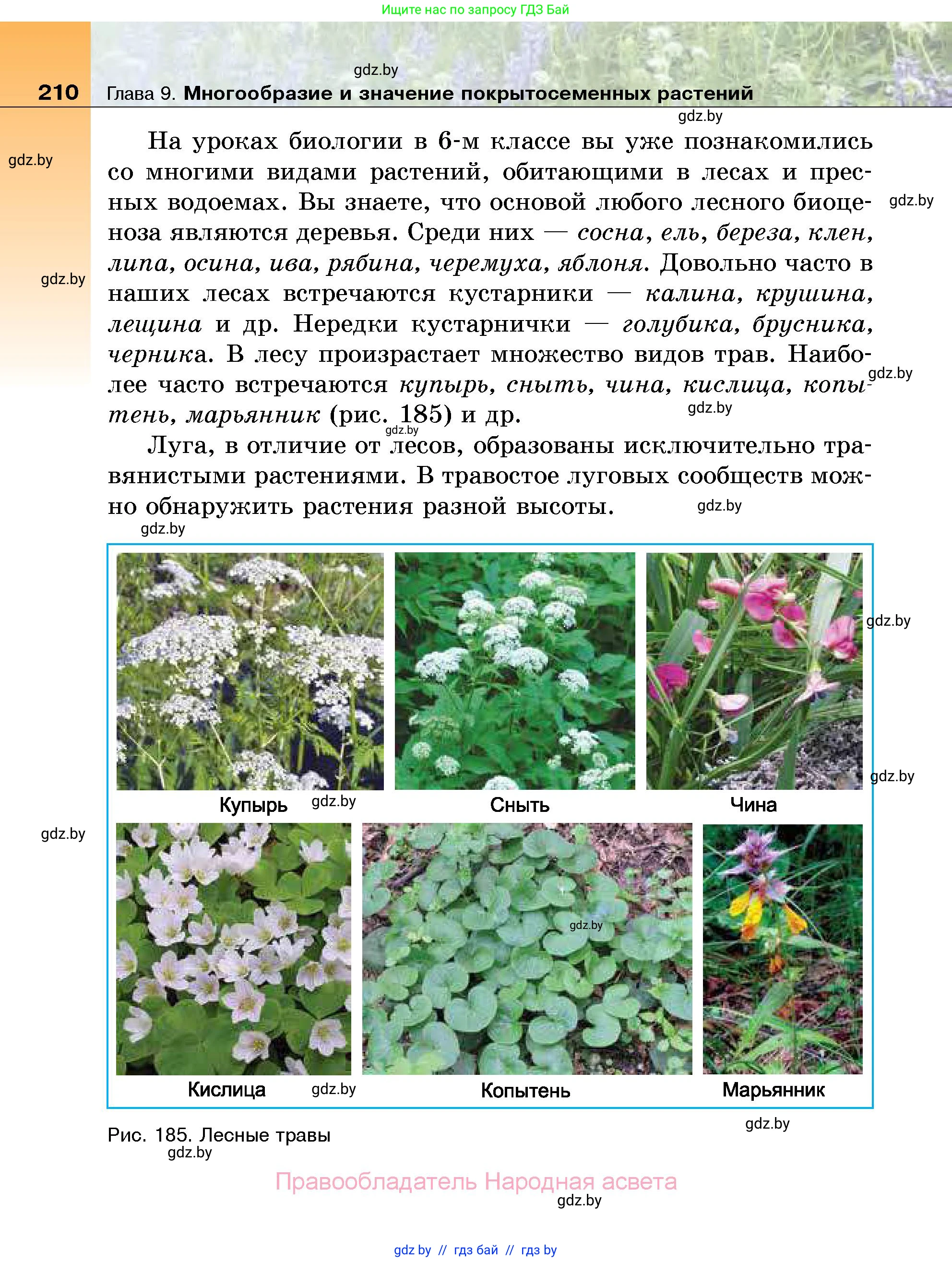 Биология, 7 класс Учебник, автор: Лисов Николай Дмитриевич, издательство Народная асвета, Минск, 2022, зелёного цвета, страница 210