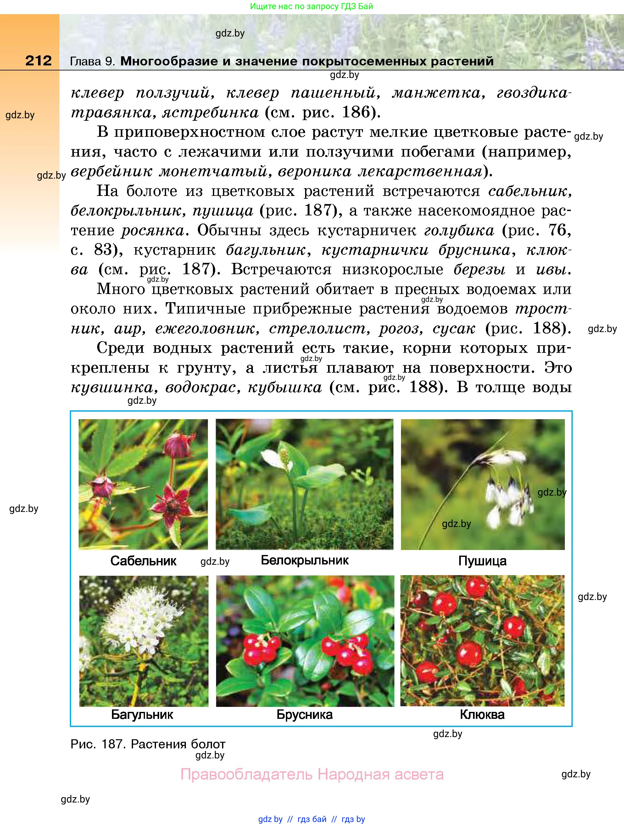 Биология, 7 класс Учебник, автор: Лисов Николай Дмитриевич, издательство Народная асвета, Минск, 2022, зелёного цвета, страница 212