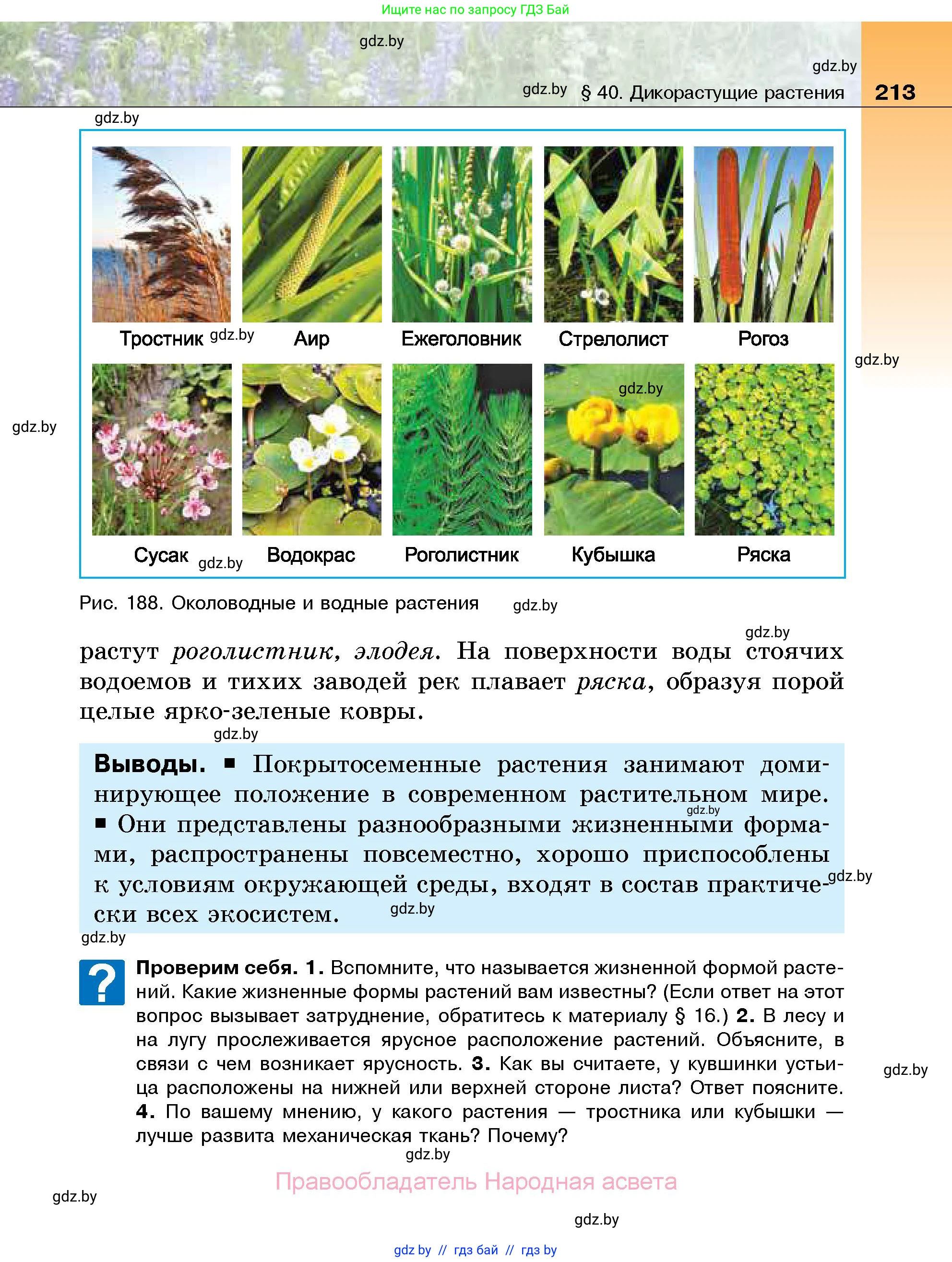 Биология, 7 класс Учебник, автор: Лисов Николай Дмитриевич, издательство Народная асвета, Минск, 2022, зелёного цвета, страница 213