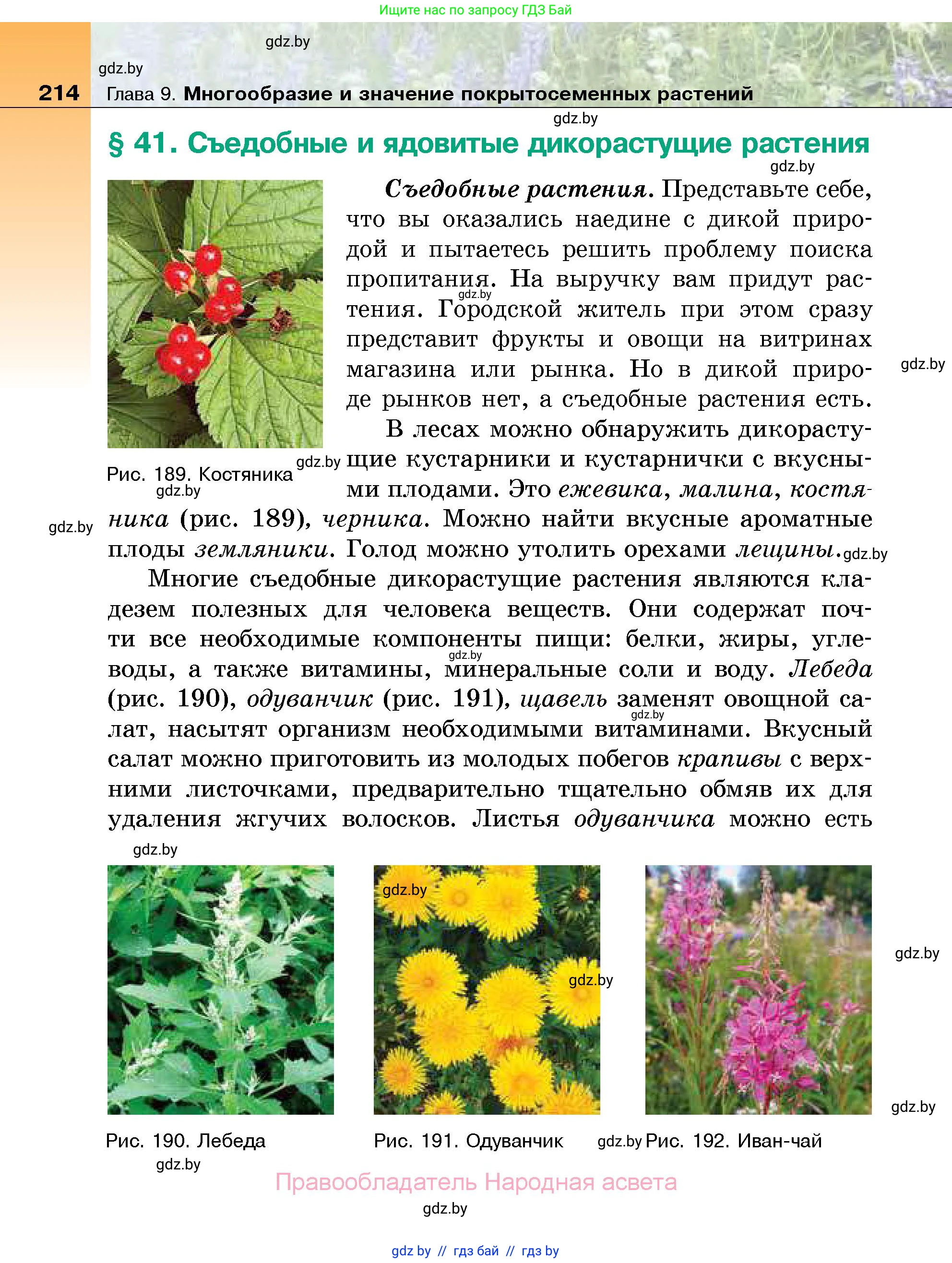 Биология, 7 класс Учебник, автор: Лисов Николай Дмитриевич, издательство Народная асвета, Минск, 2022, зелёного цвета, страница 214