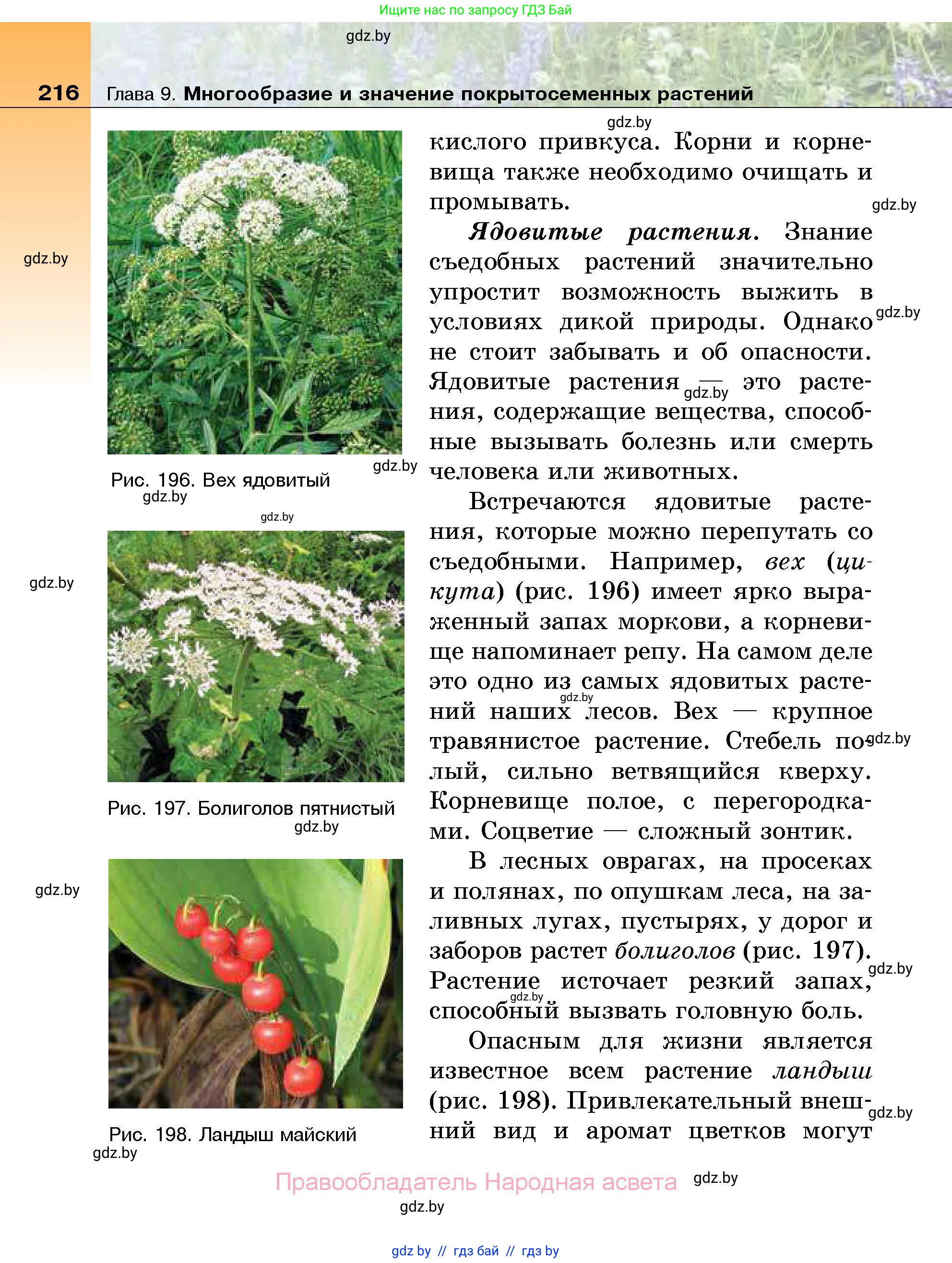 Биология, 7 класс Учебник, автор: Лисов Николай Дмитриевич, издательство Народная асвета, Минск, 2022, зелёного цвета, страница 216