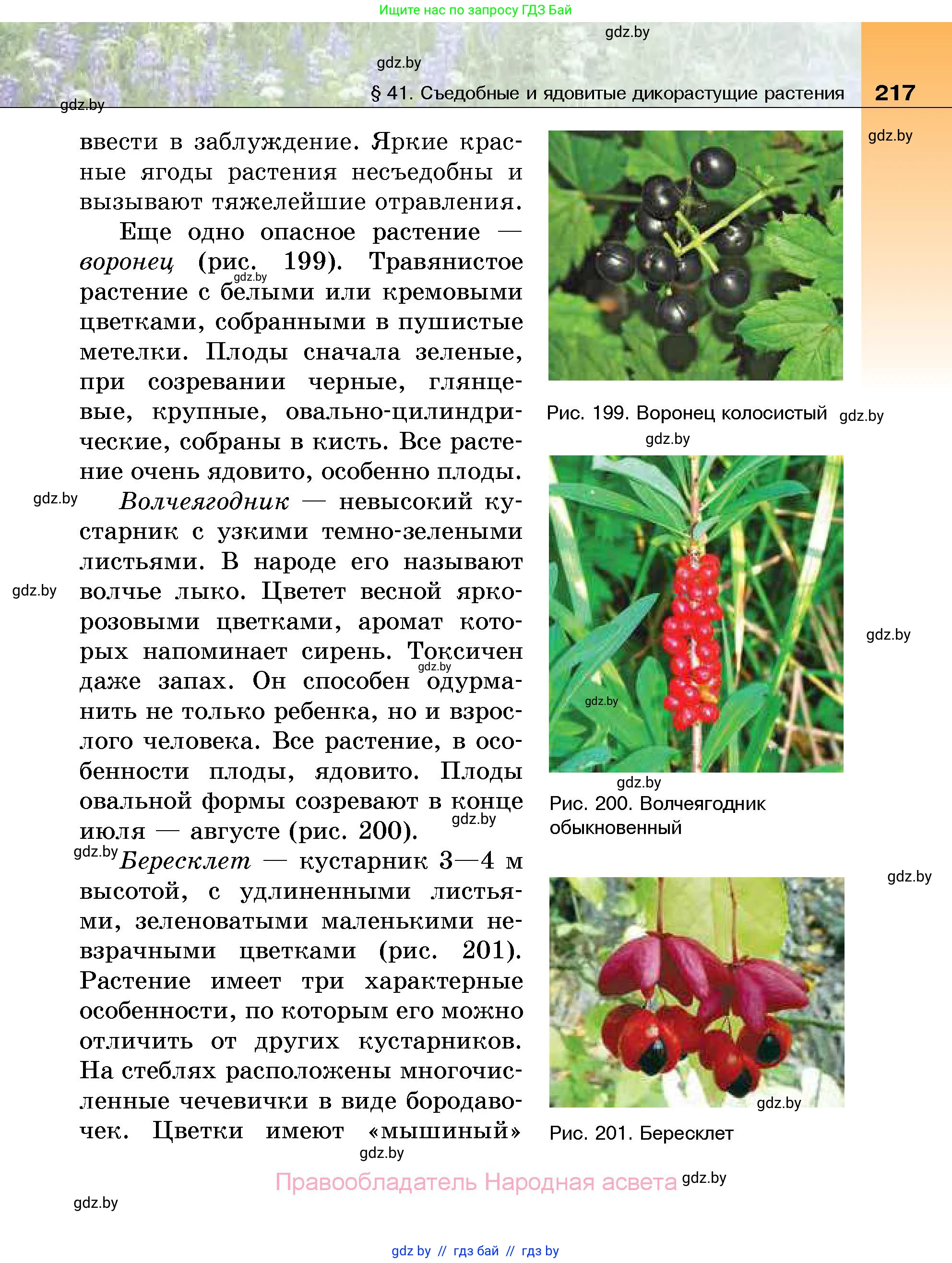 Биология, 7 класс Учебник, автор: Лисов Николай Дмитриевич, издательство Народная асвета, Минск, 2022, зелёного цвета, страница 217