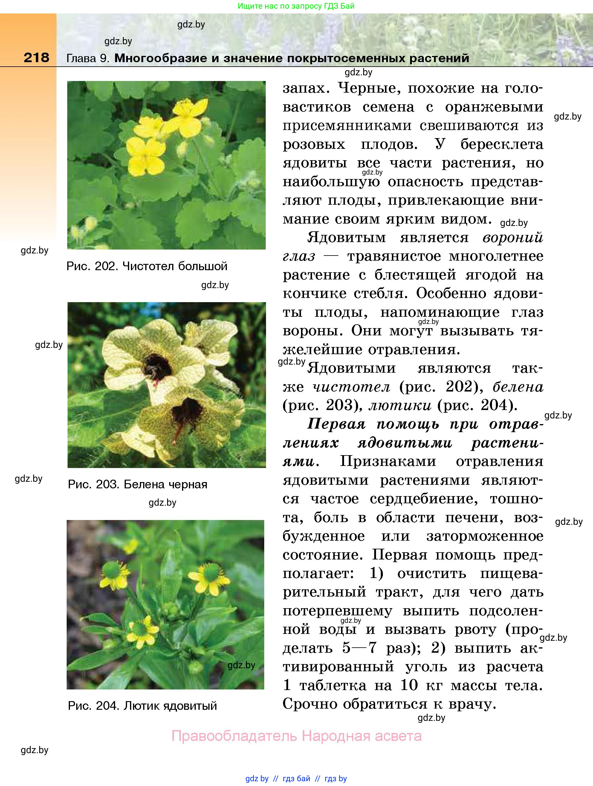 Биология, 7 класс Учебник, автор: Лисов Николай Дмитриевич, издательство Народная асвета, Минск, 2022, зелёного цвета, страница 218