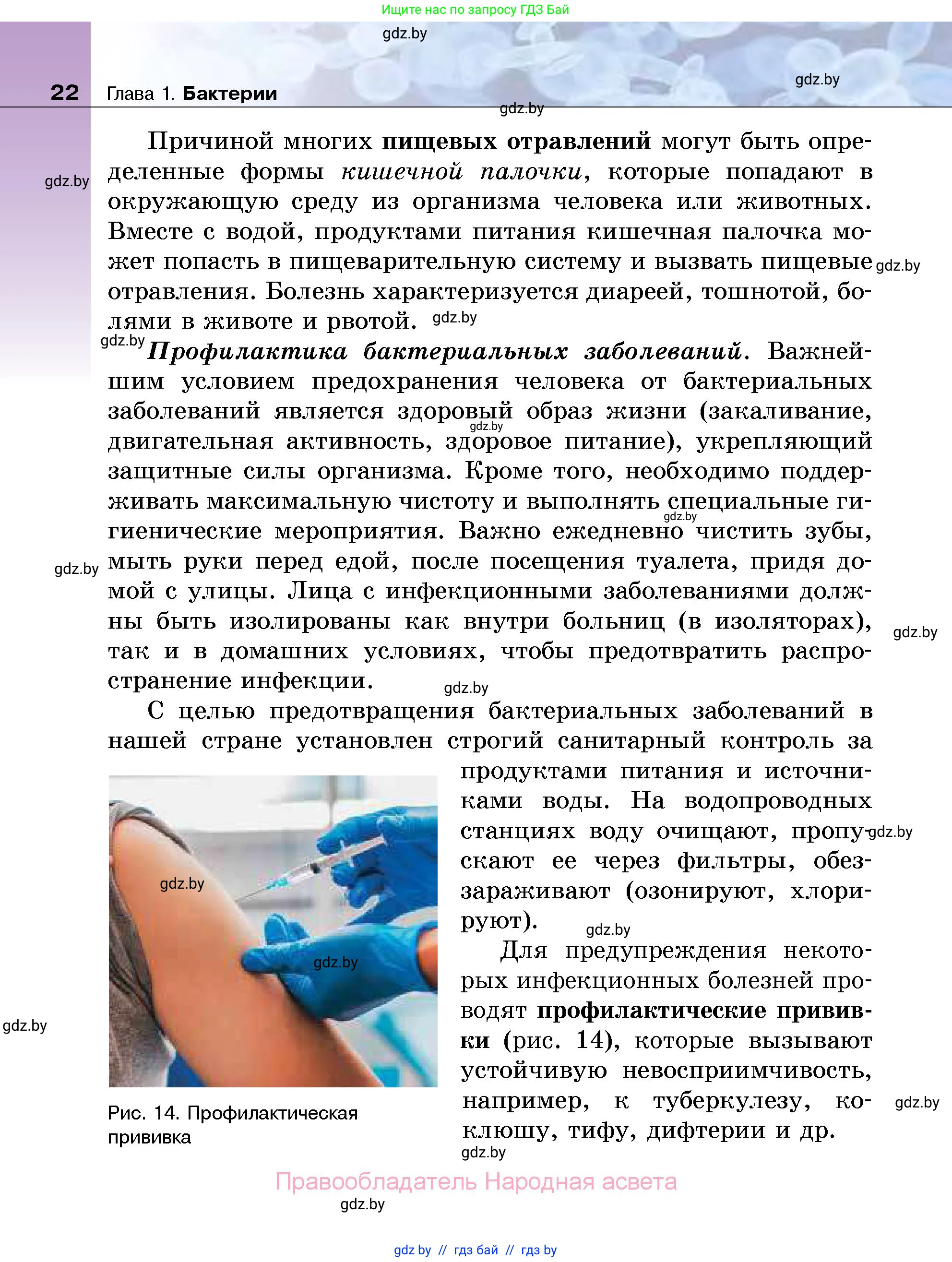 Биология, 7 класс Учебник, автор: Лисов Николай Дмитриевич, издательство Народная асвета, Минск, 2022, зелёного цвета, страница 22
