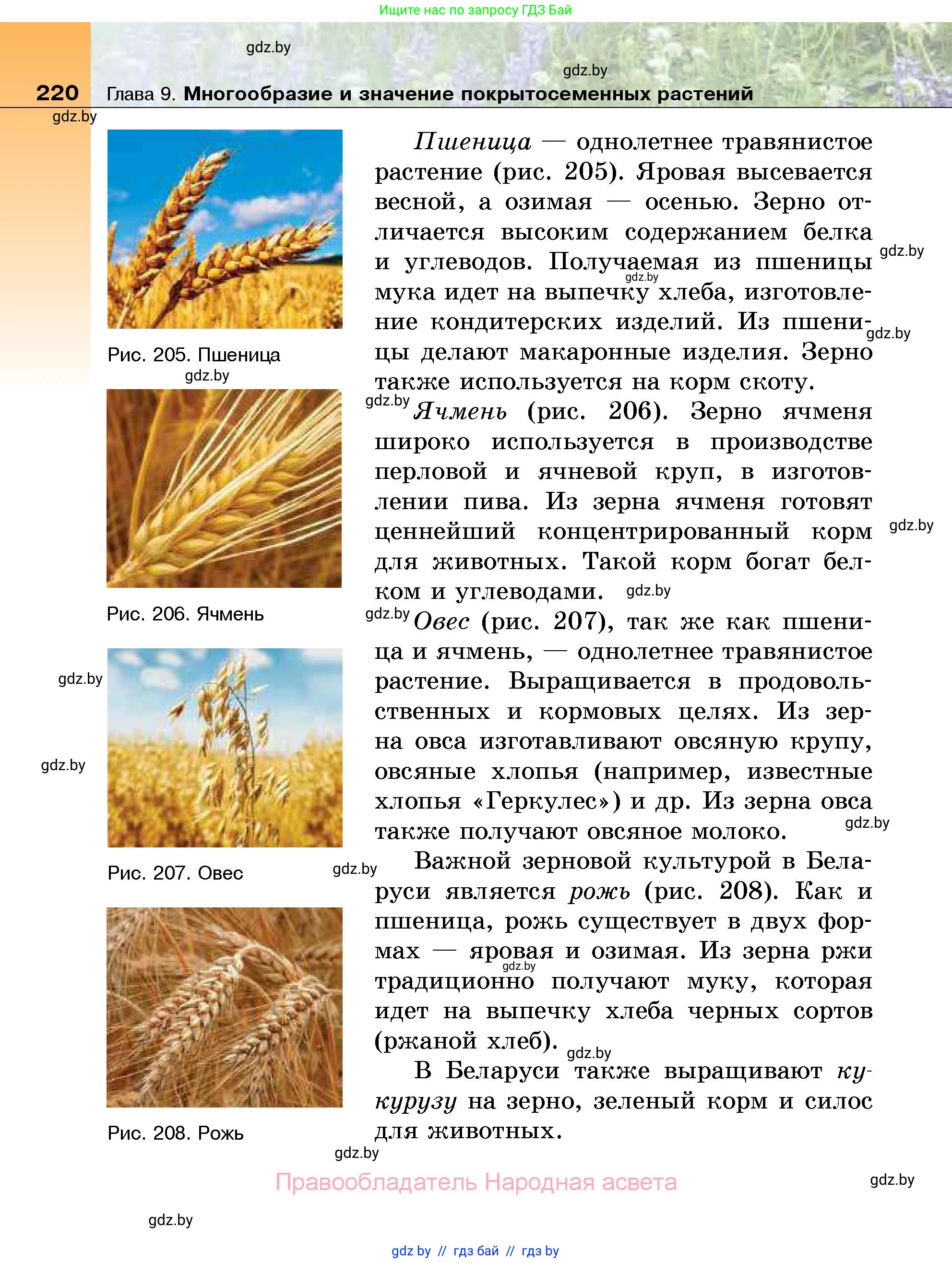 Биология, 7 класс Учебник, автор: Лисов Николай Дмитриевич, издательство Народная асвета, Минск, 2022, зелёного цвета, страница 220