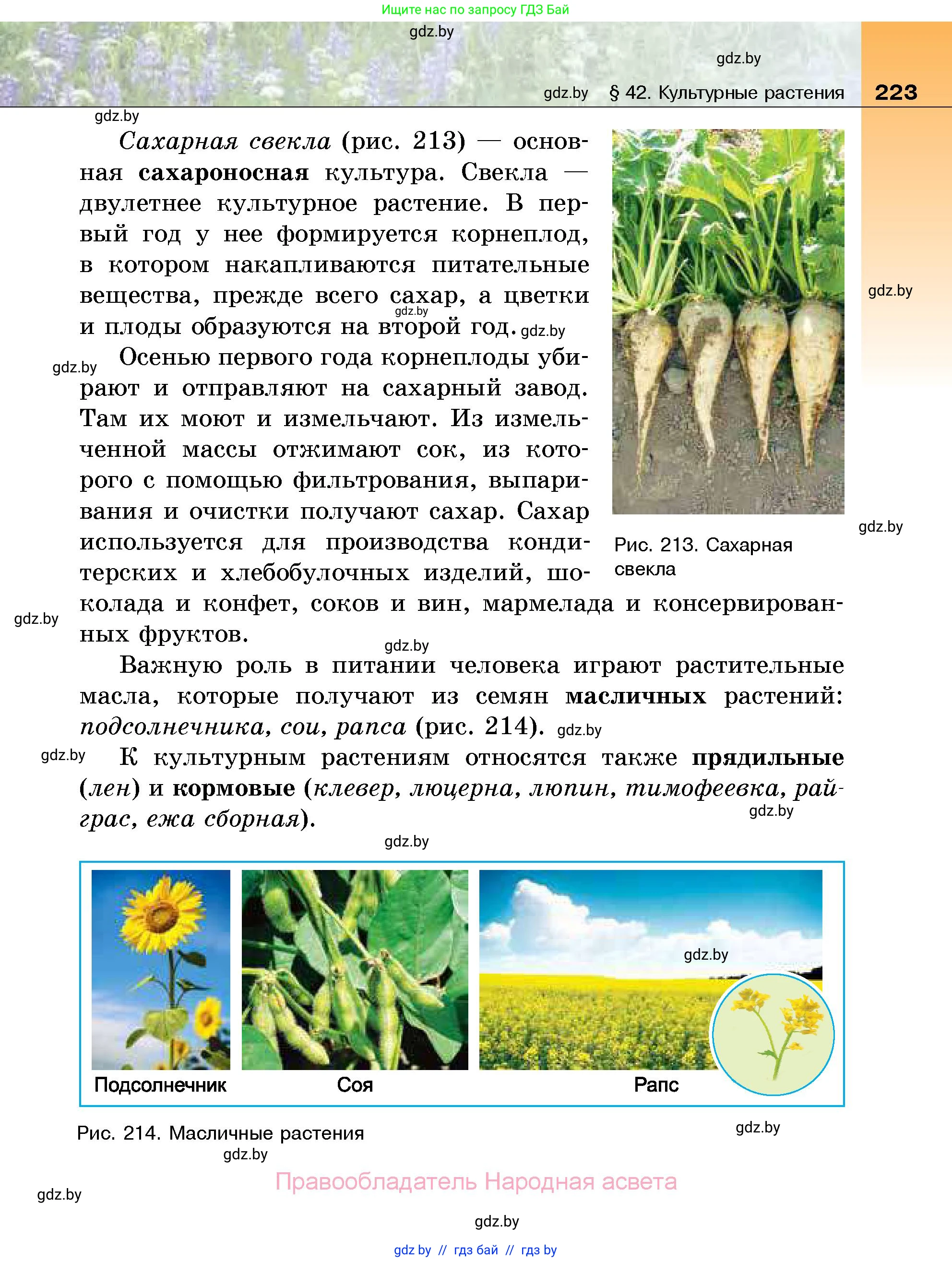 Биология, 7 класс Учебник, автор: Лисов Николай Дмитриевич, издательство Народная асвета, Минск, 2022, зелёного цвета, страница 223