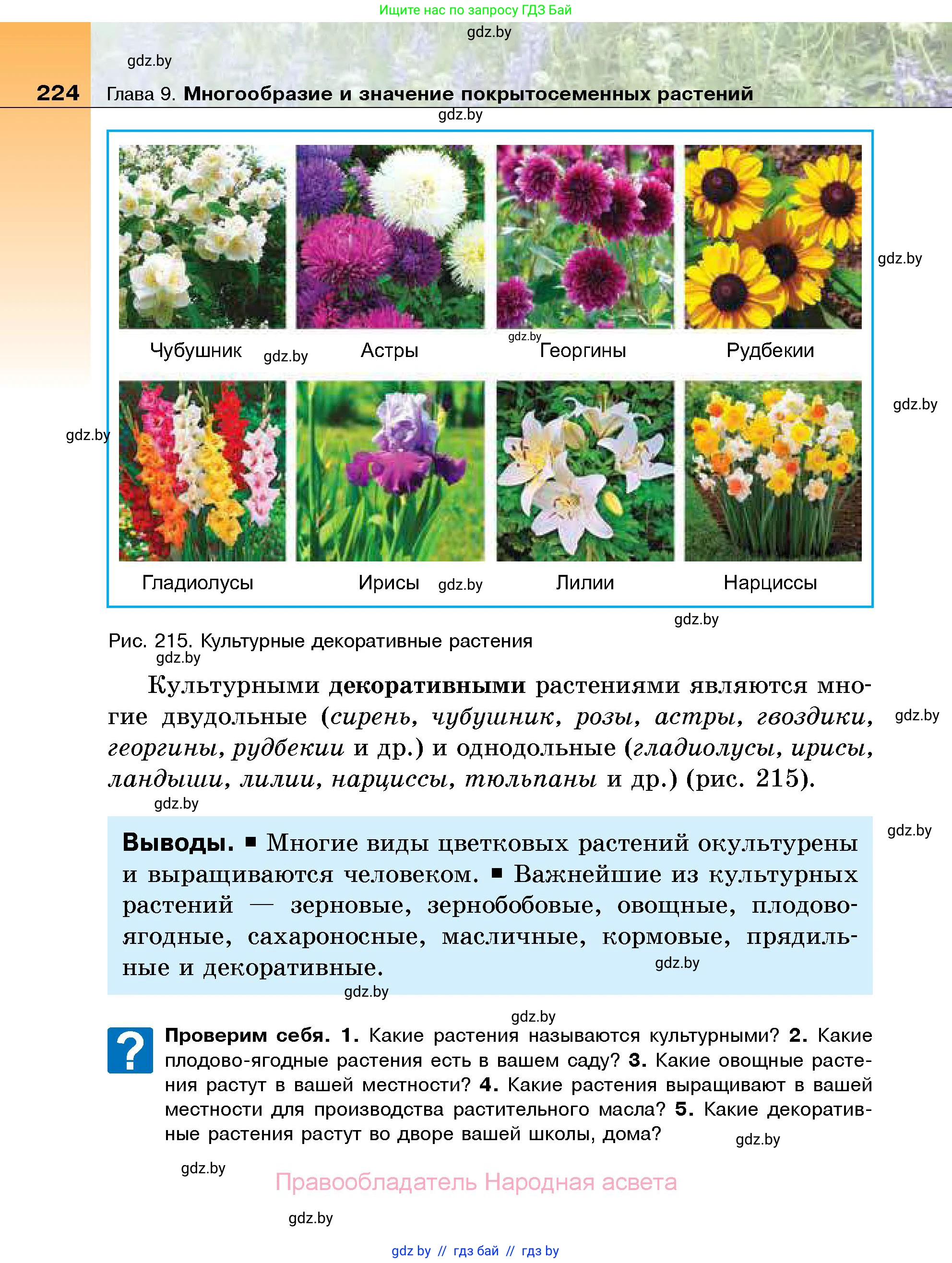 Биология, 7 класс Учебник, автор: Лисов Николай Дмитриевич, издательство Народная асвета, Минск, 2022, зелёного цвета, страница 224