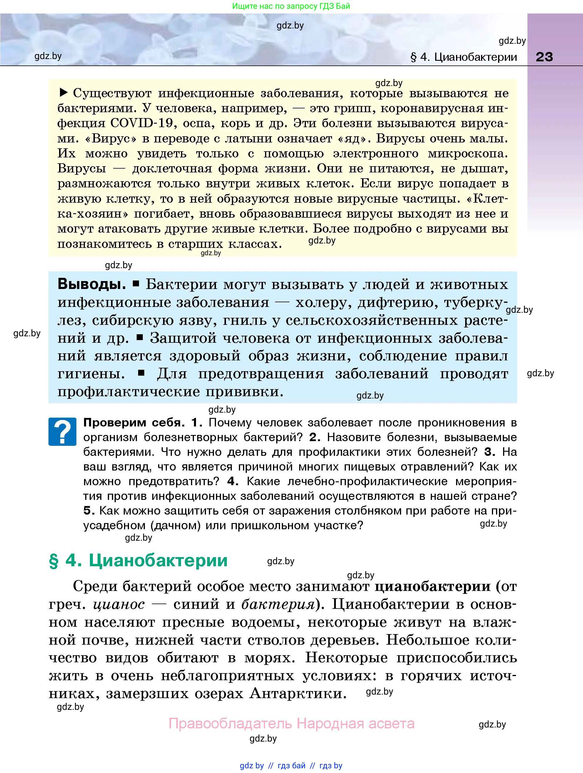 Биология, 7 класс Учебник, автор: Лисов Николай Дмитриевич, издательство Народная асвета, Минск, 2022, зелёного цвета, страница 23