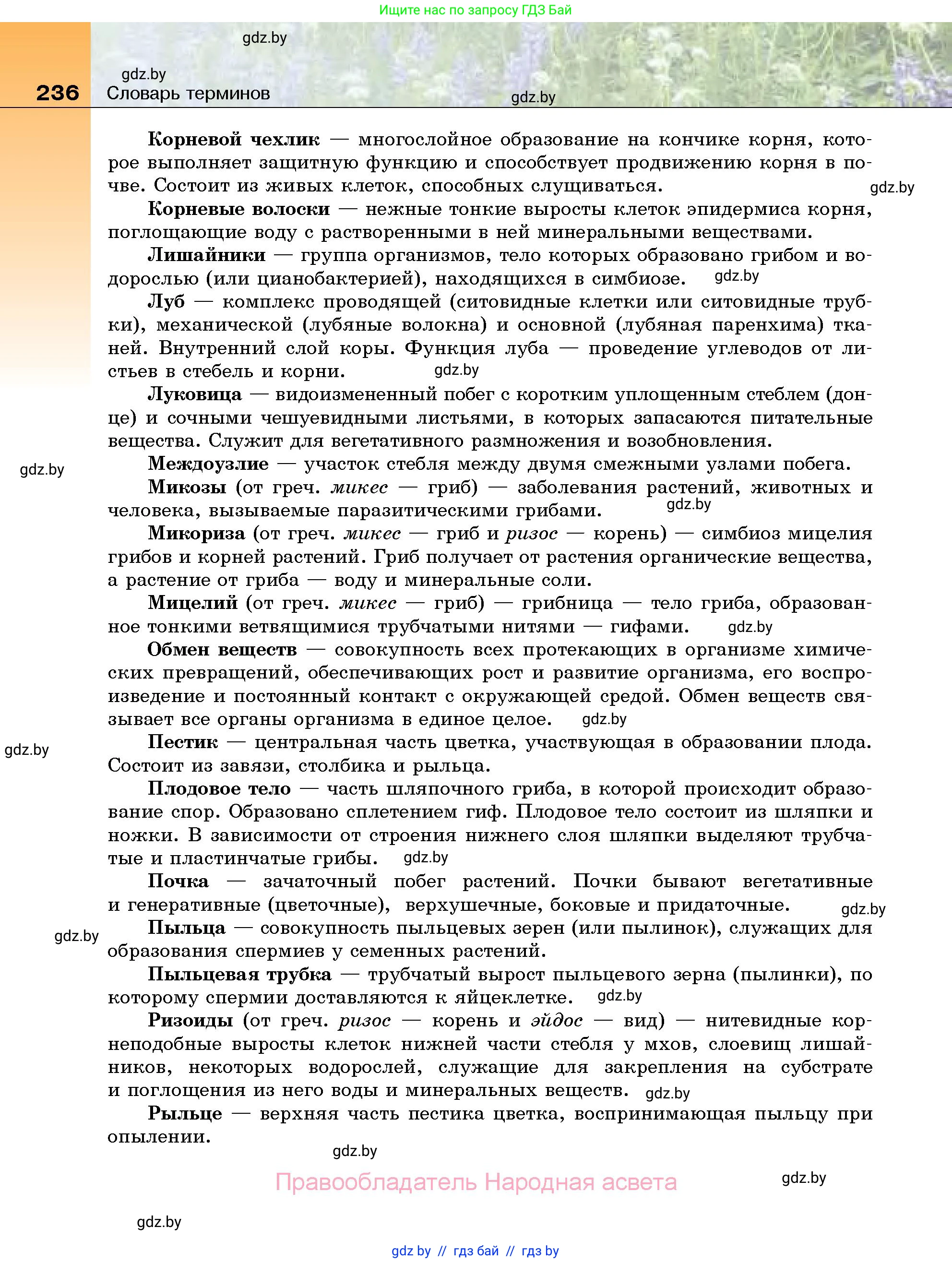 Биология, 7 класс Учебник, автор: Лисов Николай Дмитриевич, издательство Народная асвета, Минск, 2022, зелёного цвета, страница 236