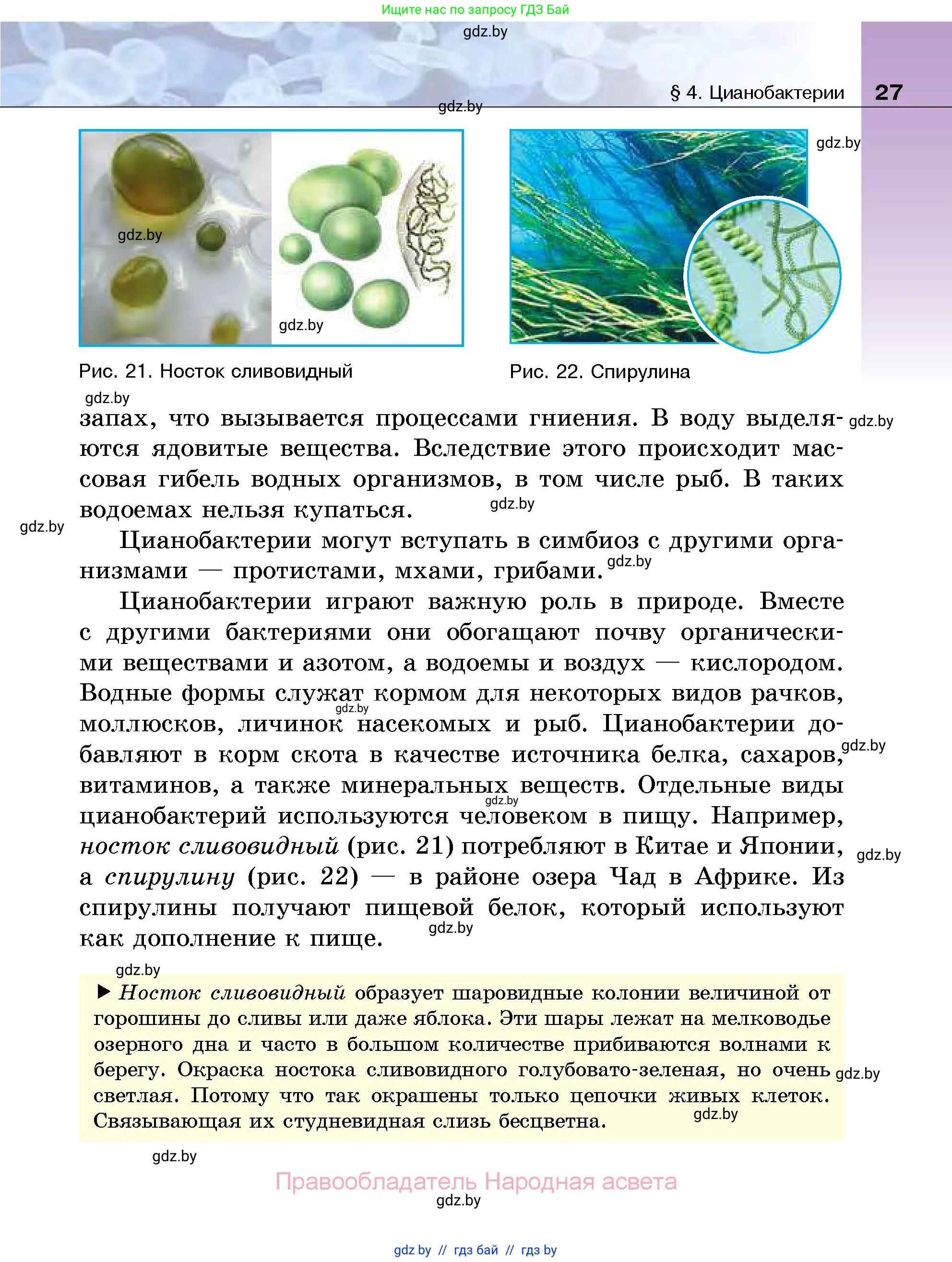 Биология, 7 класс Учебник, автор: Лисов Николай Дмитриевич, издательство Народная асвета, Минск, 2022, зелёного цвета, страница 27