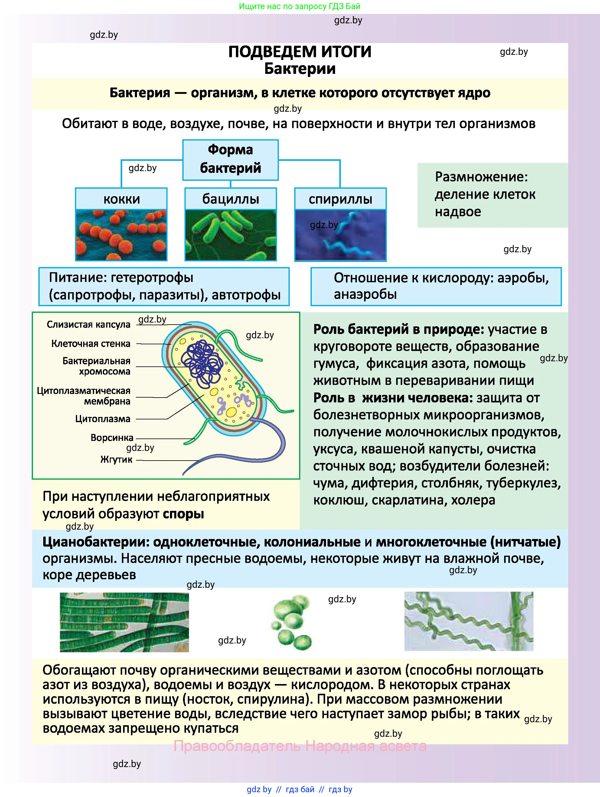 Биология, 7 класс Учебник, автор: Лисов Николай Дмитриевич, издательство Народная асвета, Минск, 2022, зелёного цвета, страница 29