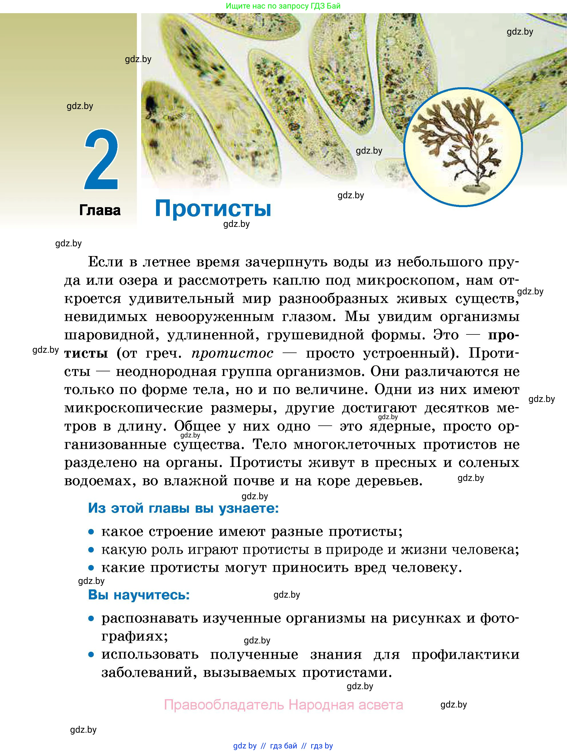Биология, 7 класс Учебник, автор: Лисов Николай Дмитриевич, издательство Народная асвета, Минск, 2022, зелёного цвета, страница 30