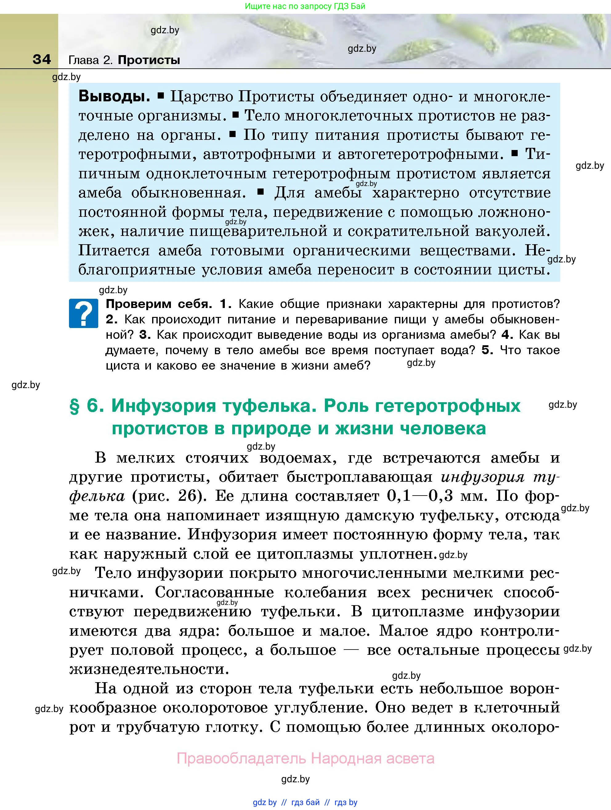 Биология, 7 класс Учебник, автор: Лисов Николай Дмитриевич, издательство Народная асвета, Минск, 2022, зелёного цвета, страница 34