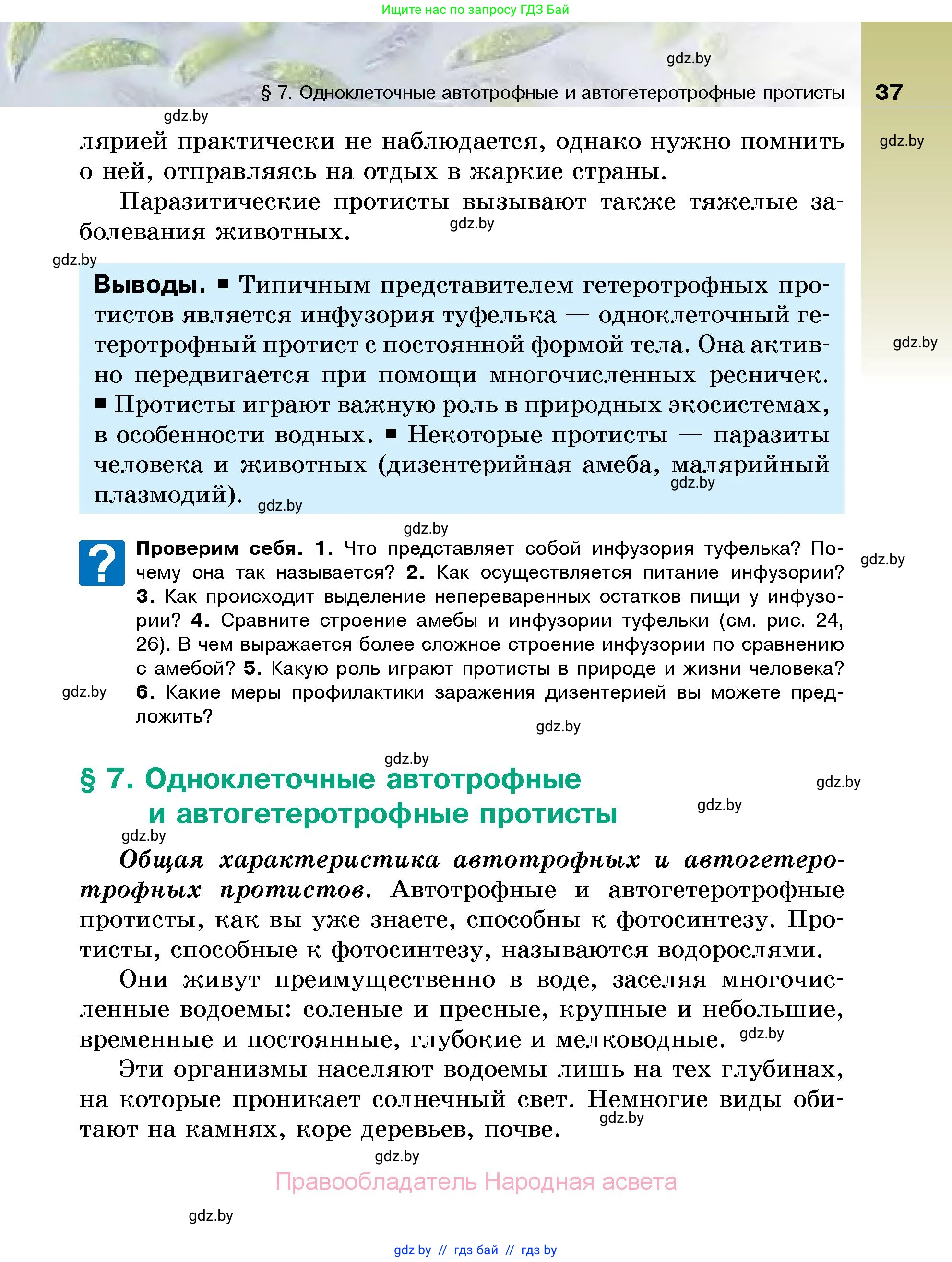 Биология, 7 класс Учебник, автор: Лисов Николай Дмитриевич, издательство Народная асвета, Минск, 2022, зелёного цвета, страница 37