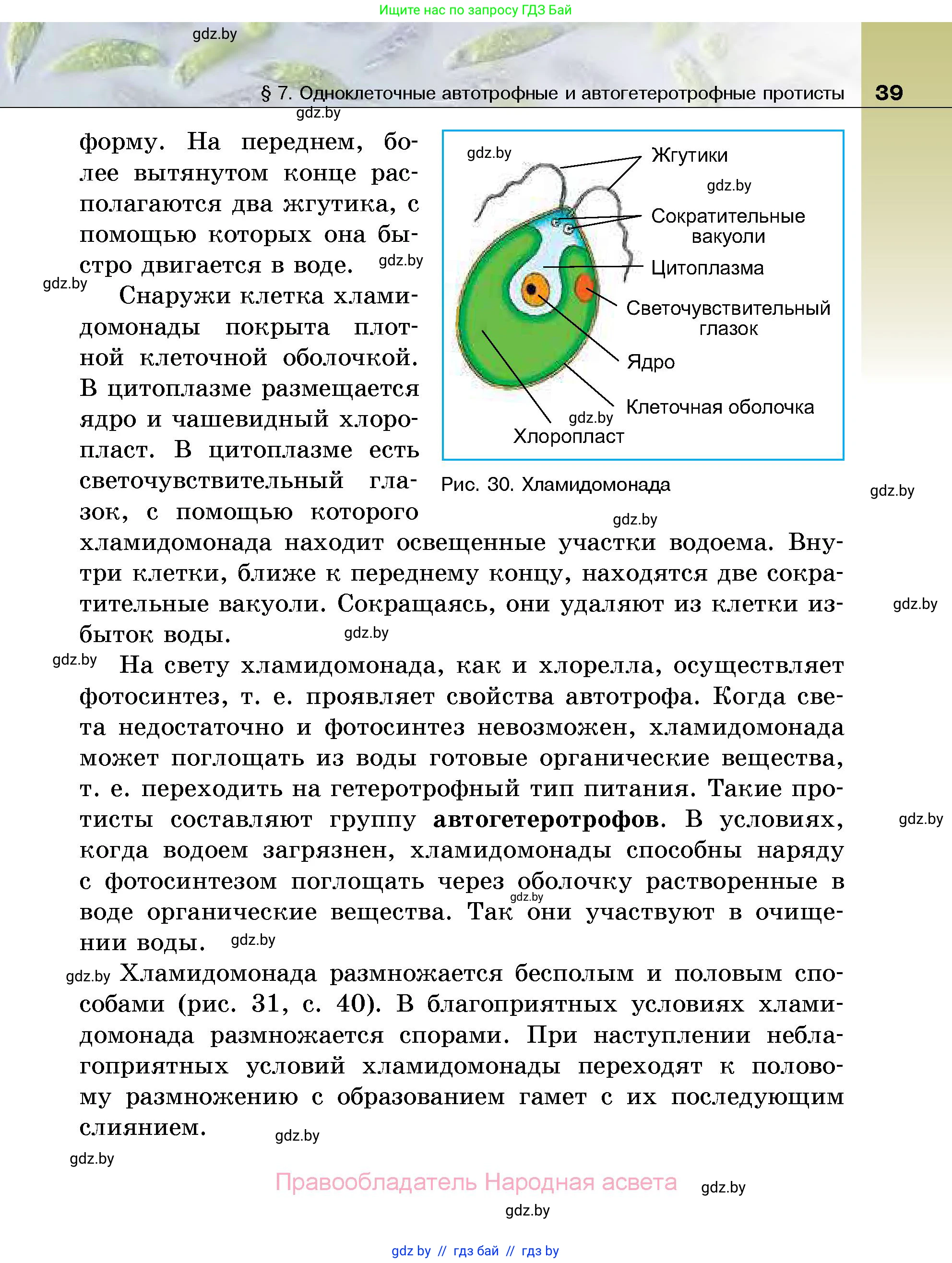 Биология, 7 класс Учебник, автор: Лисов Николай Дмитриевич, издательство Народная асвета, Минск, 2022, зелёного цвета, страница 39