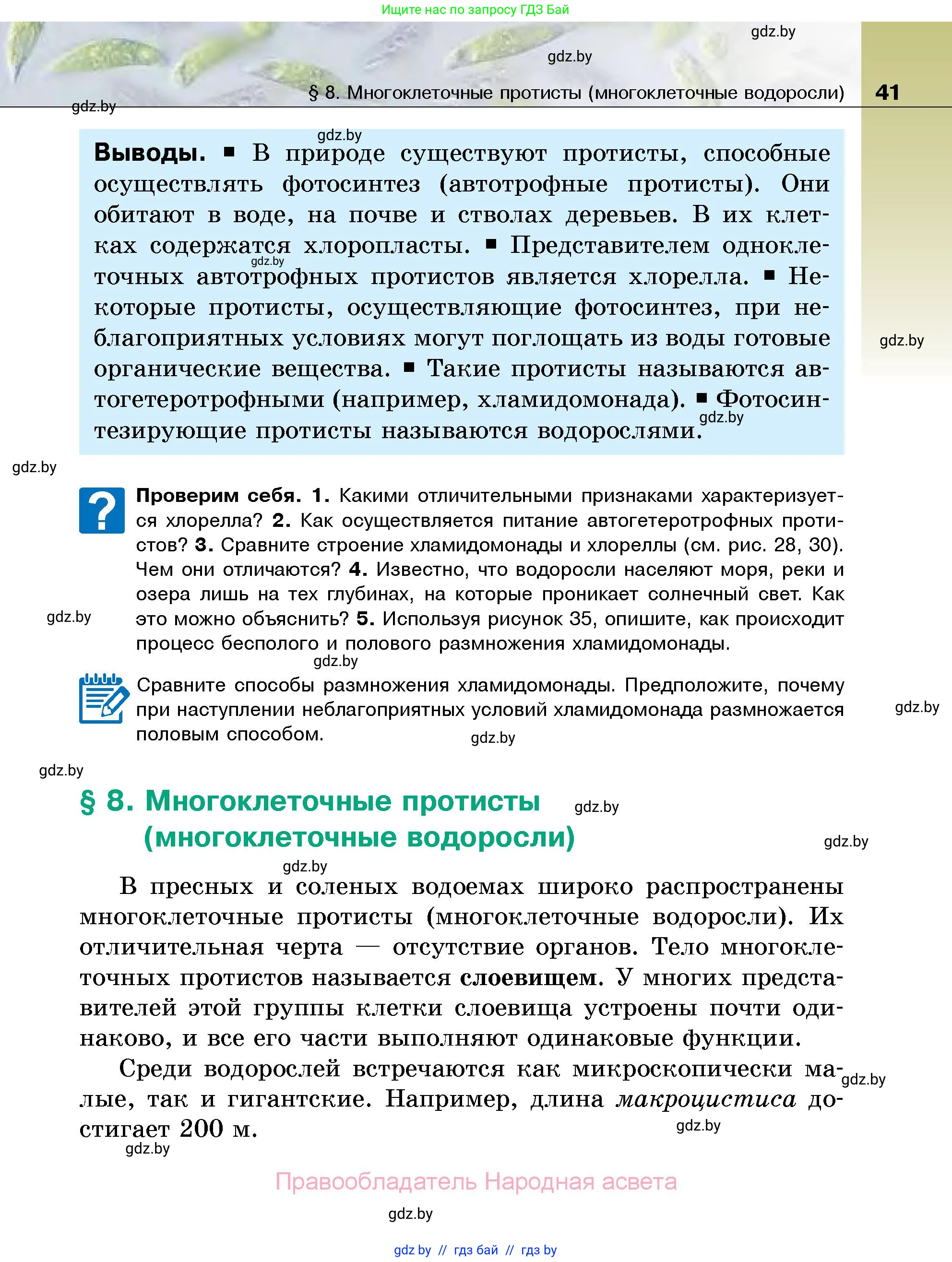 Биология, 7 класс Учебник, автор: Лисов Николай Дмитриевич, издательство Народная асвета, Минск, 2022, зелёного цвета, страница 41