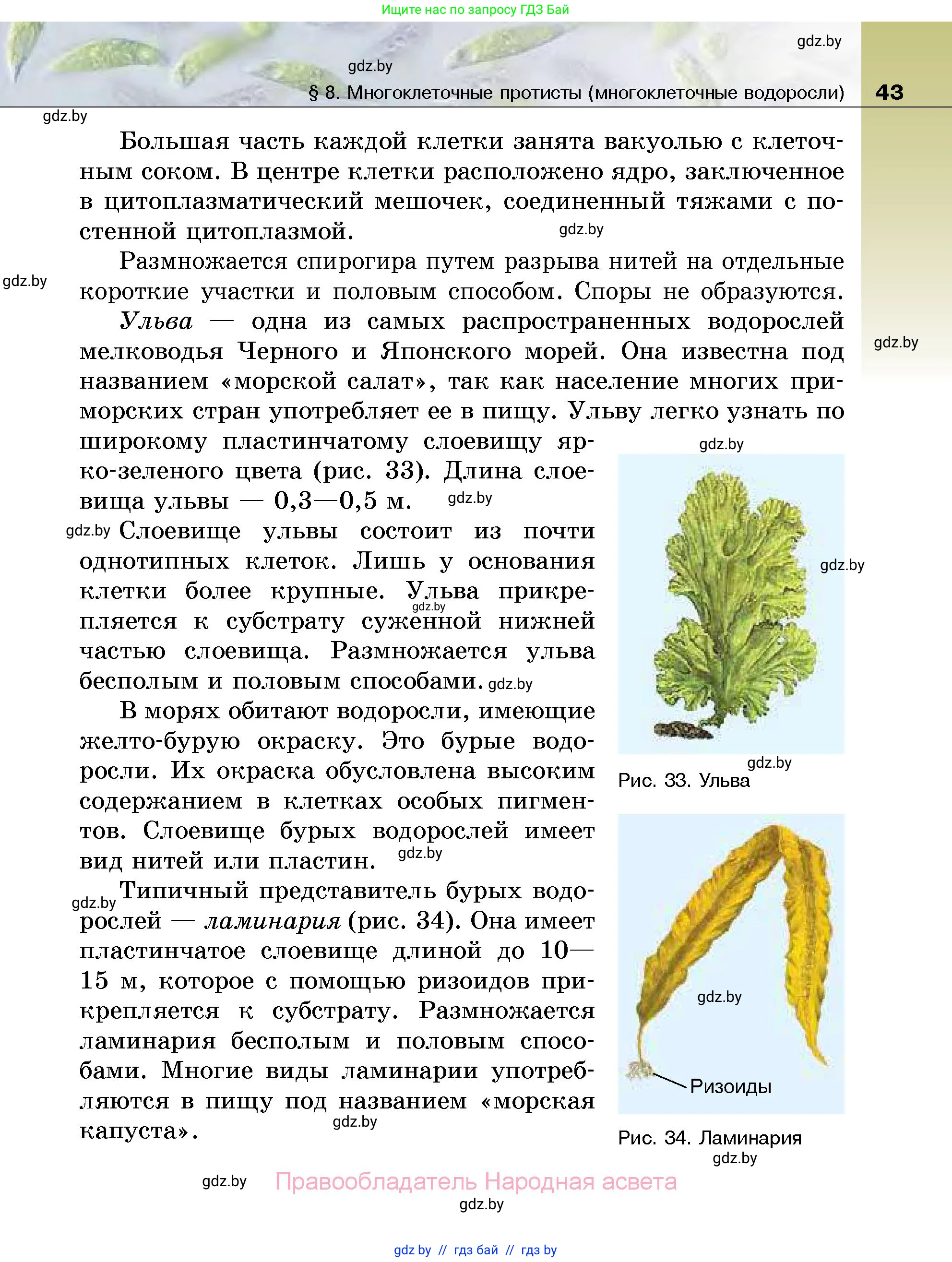 Биология, 7 класс Учебник, автор: Лисов Николай Дмитриевич, издательство Народная асвета, Минск, 2022, зелёного цвета, страница 43