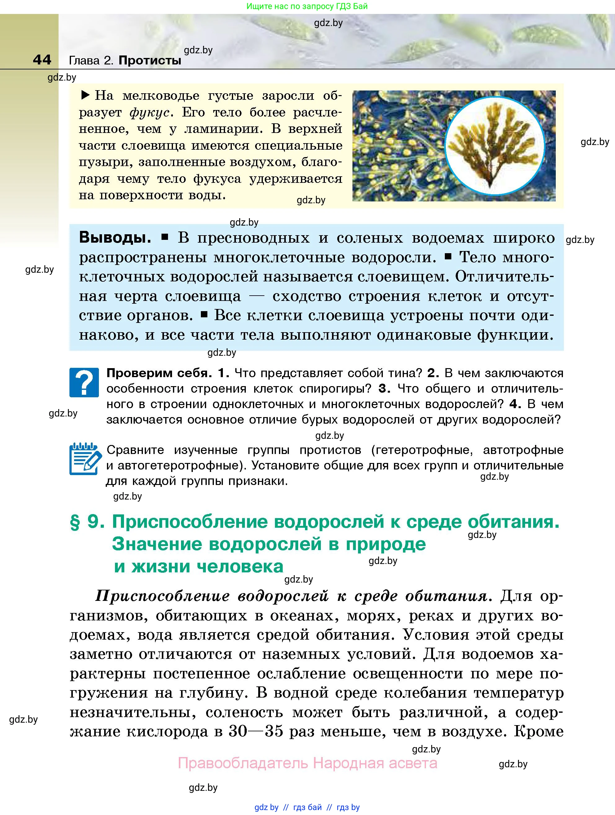 Биология, 7 класс Учебник, автор: Лисов Николай Дмитриевич, издательство Народная асвета, Минск, 2022, зелёного цвета, страница 44