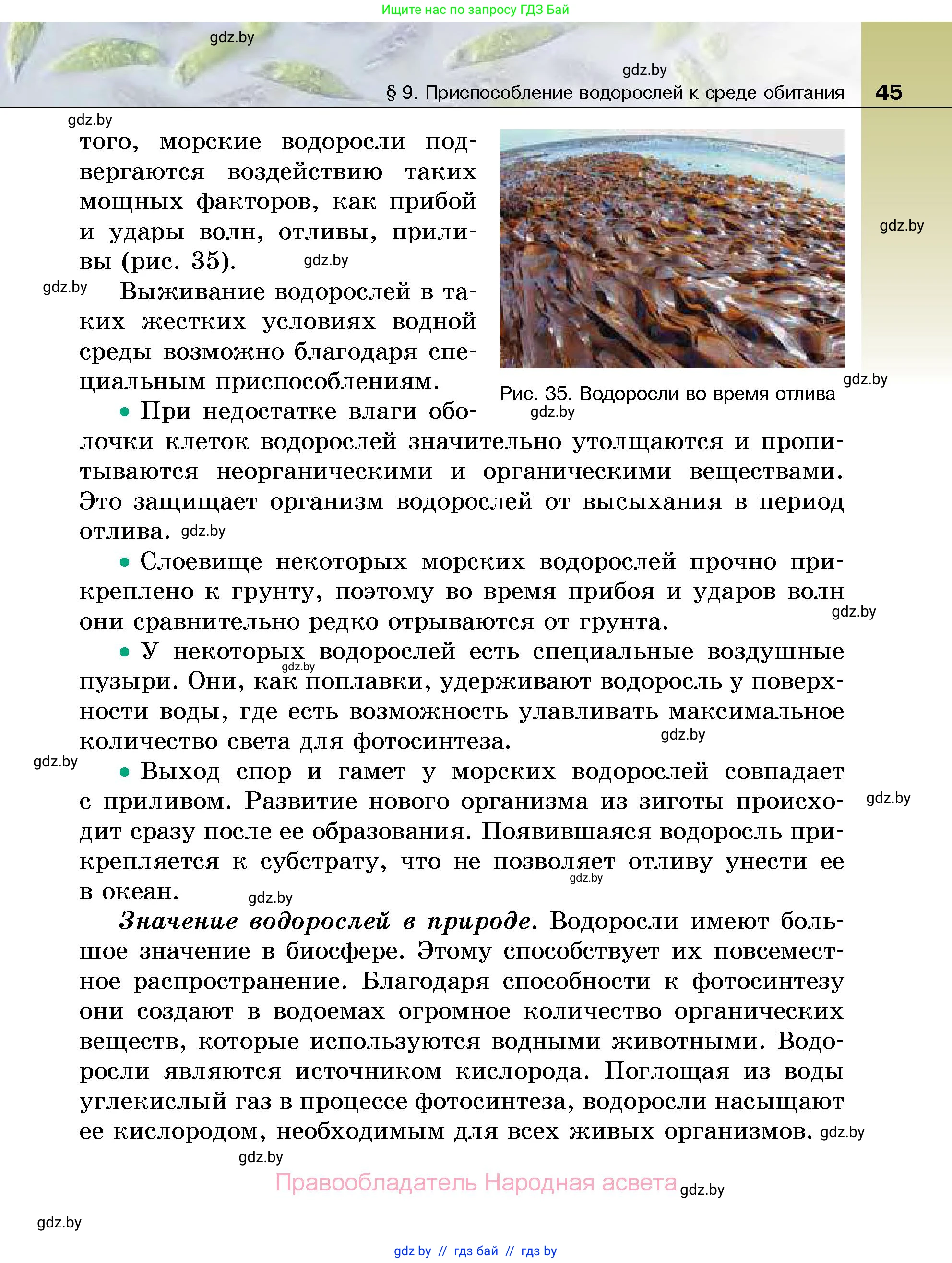 Биология, 7 класс Учебник, автор: Лисов Николай Дмитриевич, издательство Народная асвета, Минск, 2022, зелёного цвета, страница 45