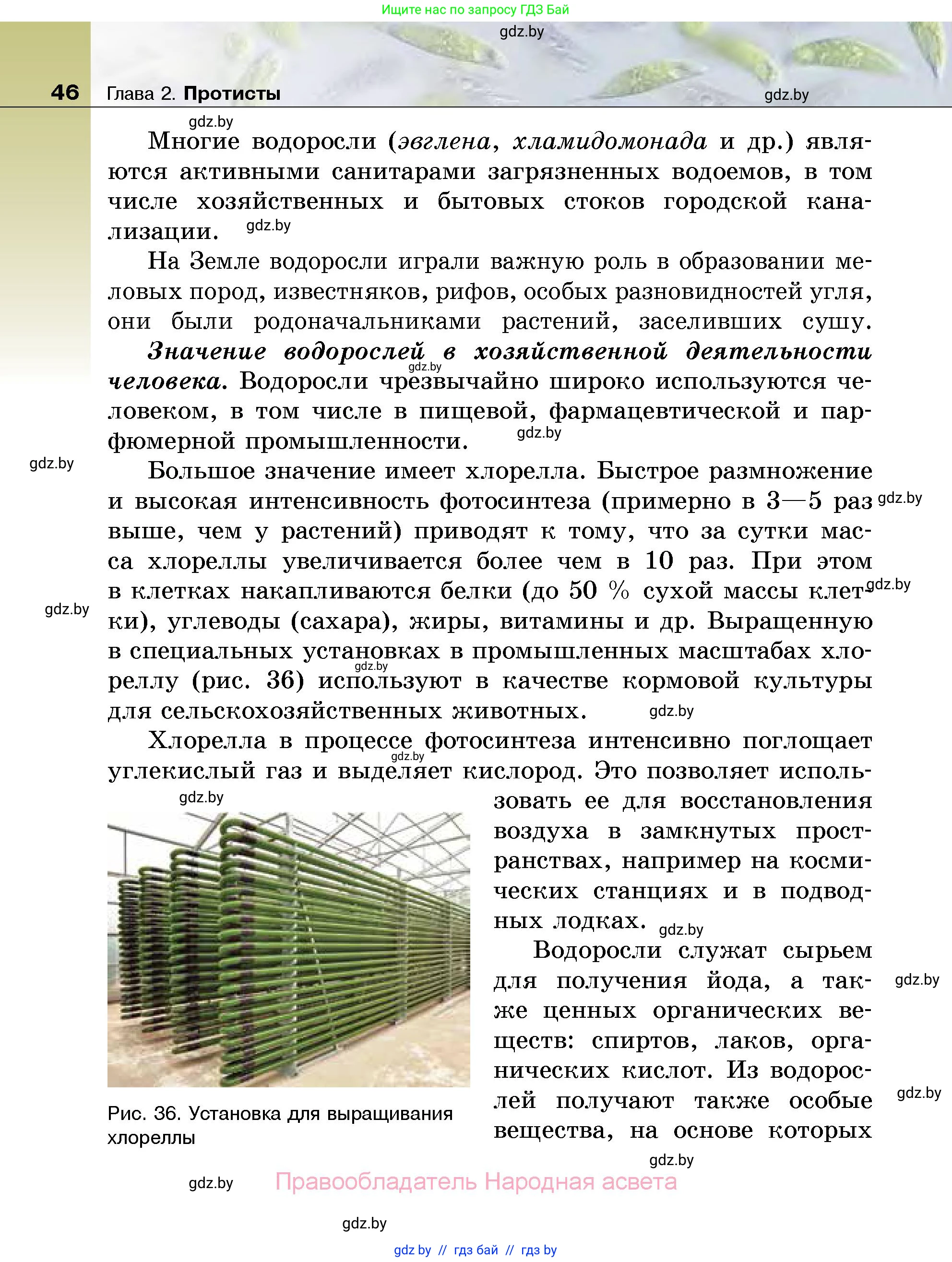 Биология, 7 класс Учебник, автор: Лисов Николай Дмитриевич, издательство Народная асвета, Минск, 2022, зелёного цвета, страница 46