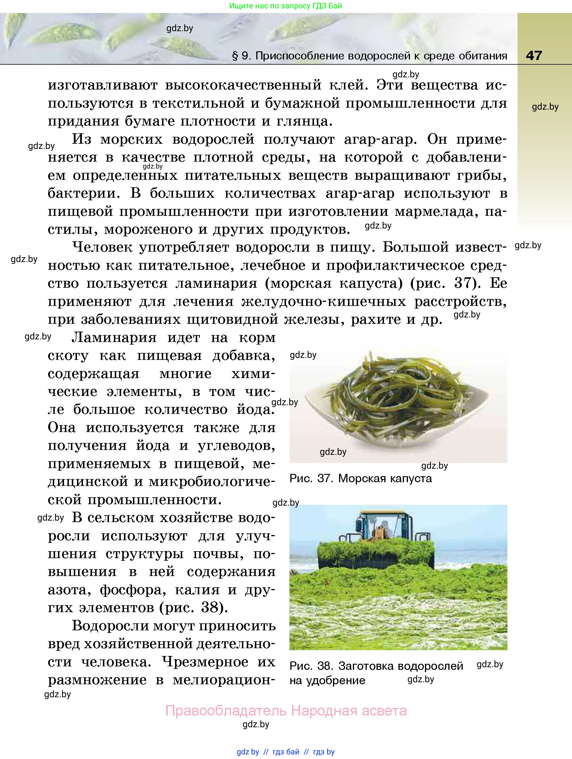 Биология, 7 класс Учебник, автор: Лисов Николай Дмитриевич, издательство Народная асвета, Минск, 2022, зелёного цвета, страница 47