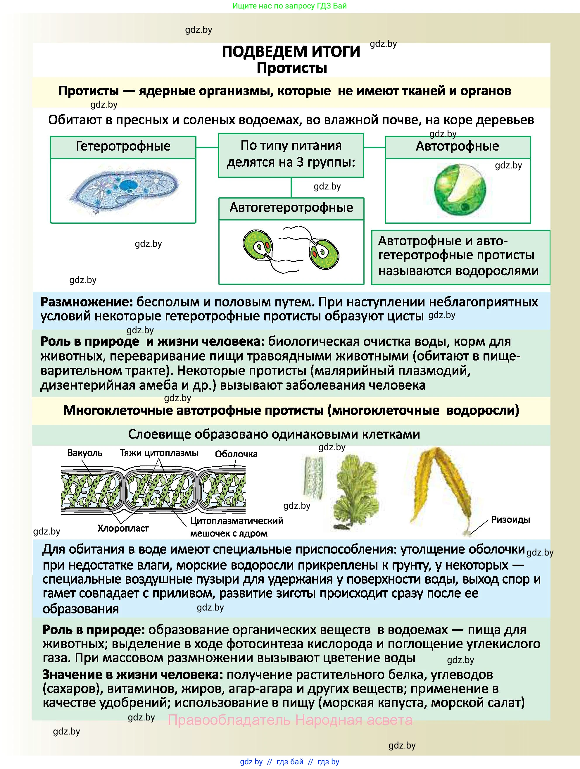 Биология, 7 класс Учебник, автор: Лисов Николай Дмитриевич, издательство Народная асвета, Минск, 2022, зелёного цвета, страница 49