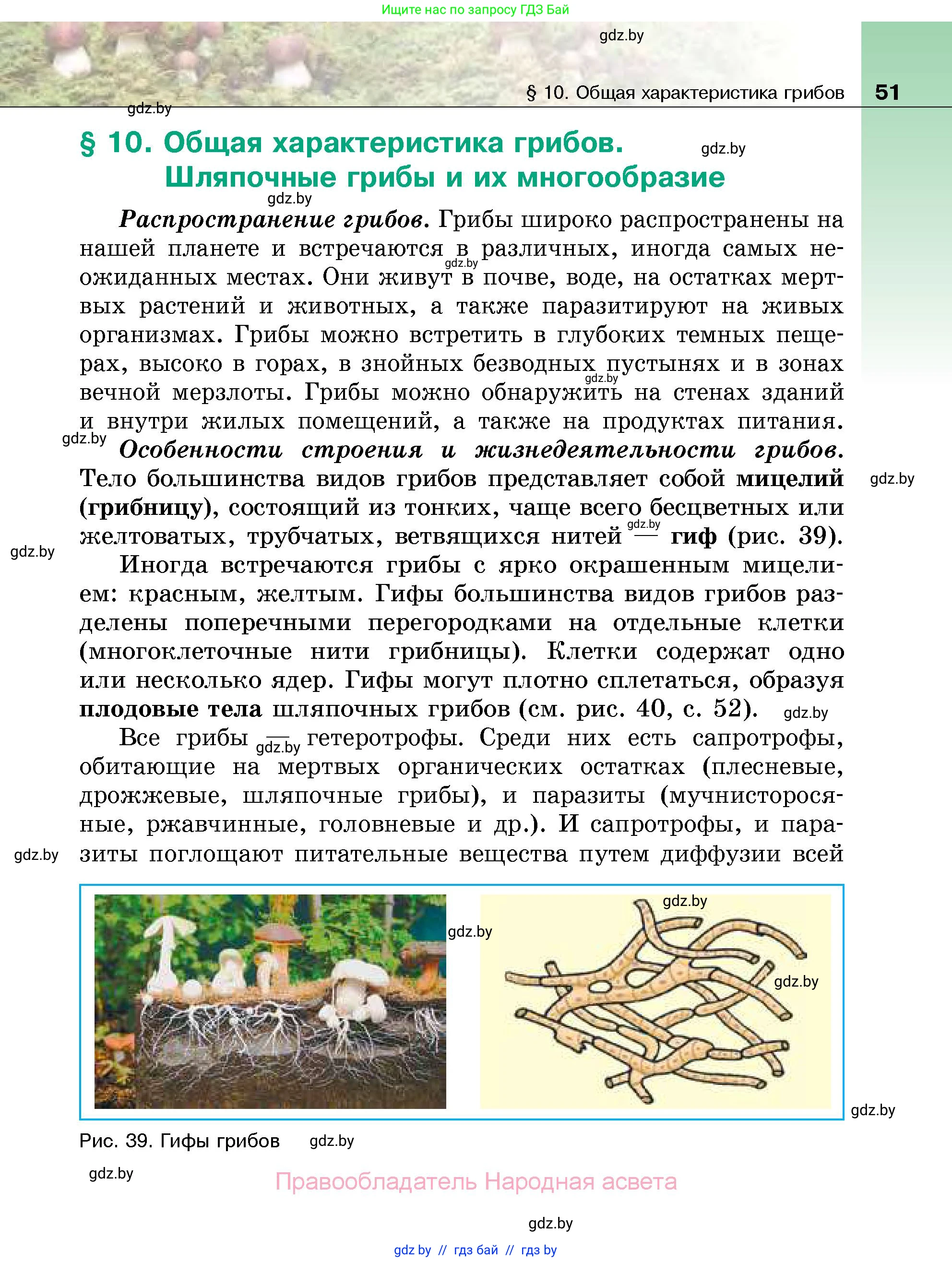 Биология, 7 класс Учебник, автор: Лисов Николай Дмитриевич, издательство Народная асвета, Минск, 2022, зелёного цвета, страница 51