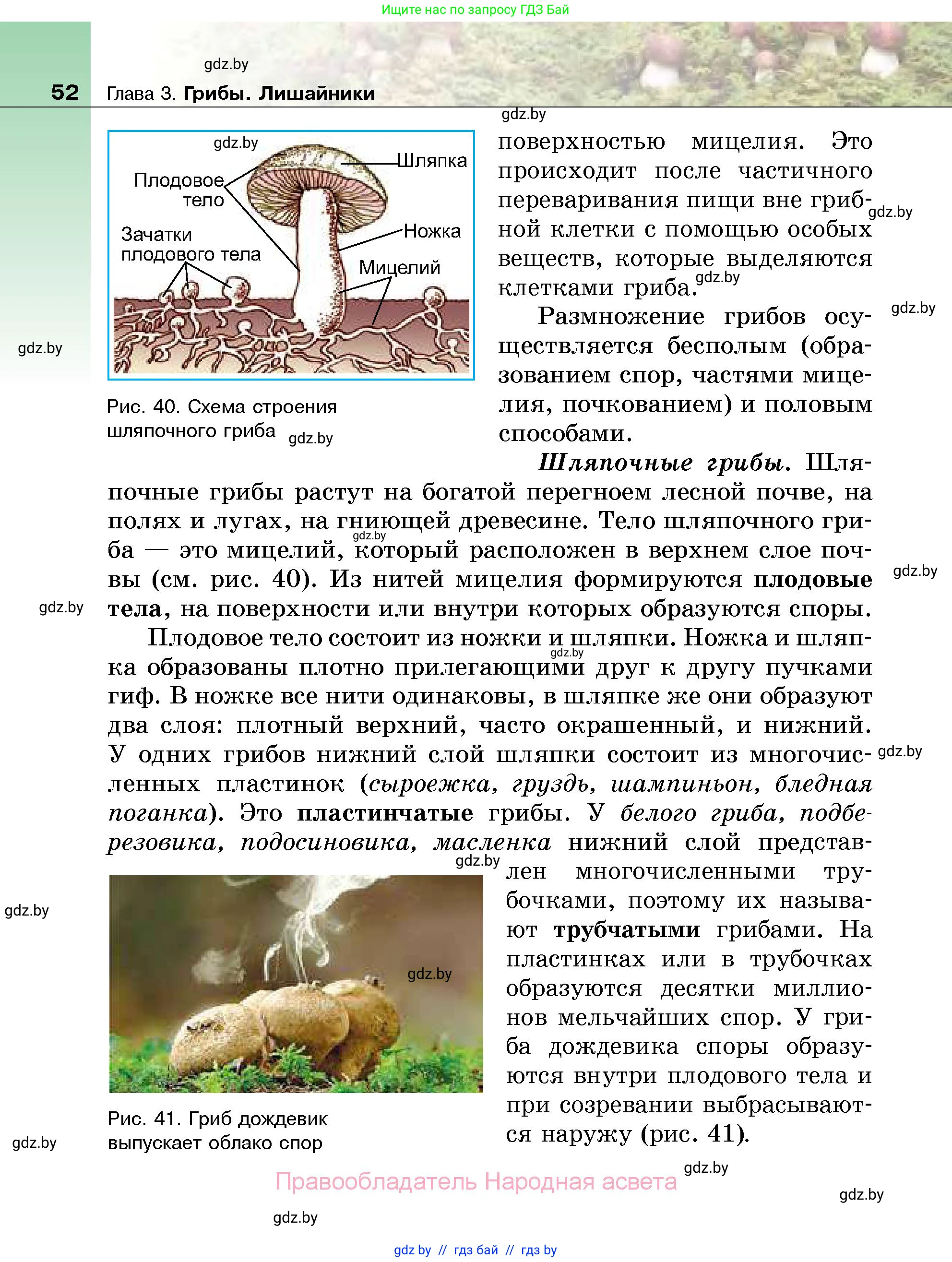 Биология, 7 класс Учебник, автор: Лисов Николай Дмитриевич, издательство Народная асвета, Минск, 2022, зелёного цвета, страница 52