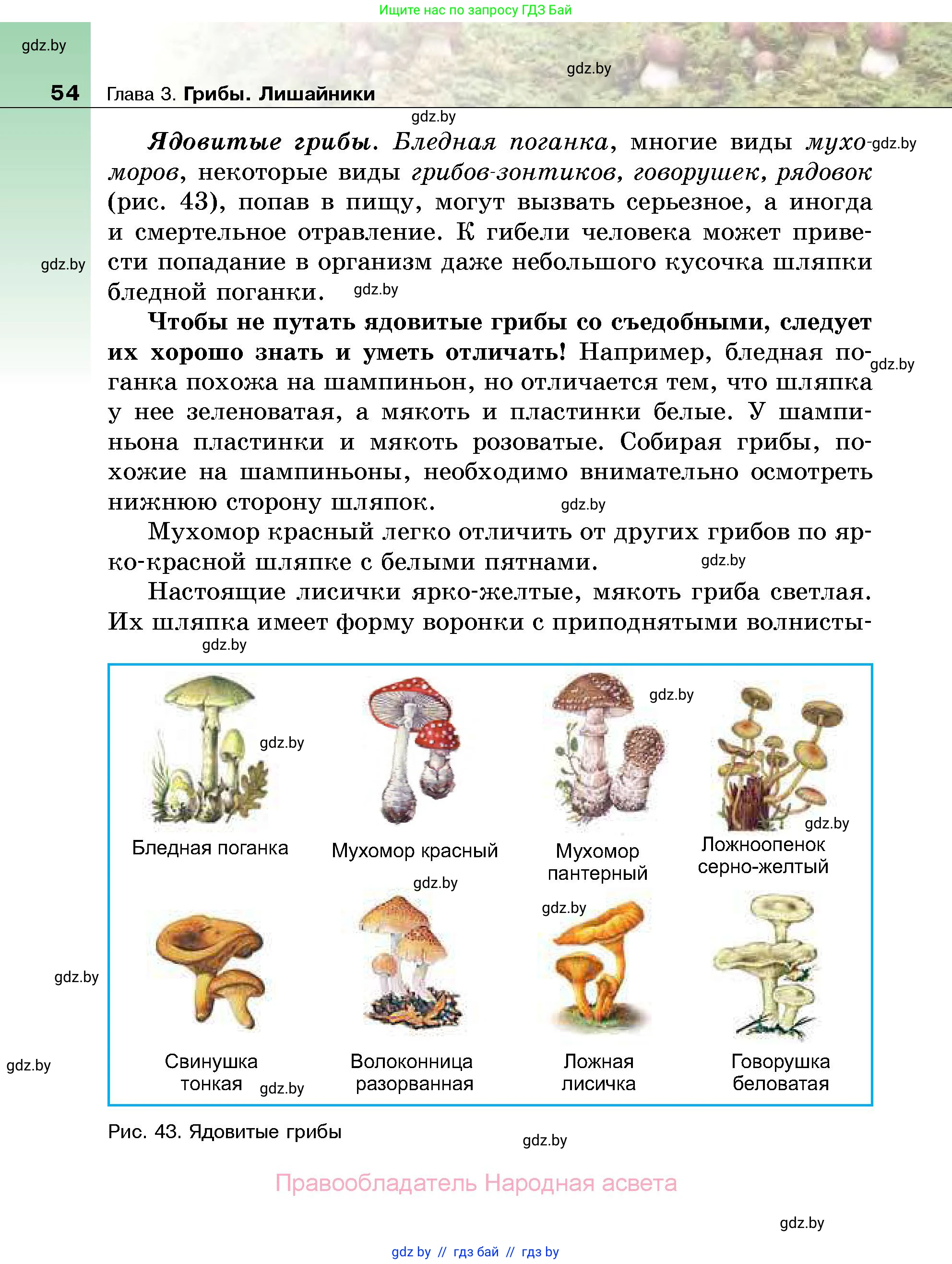 Биология, 7 класс Учебник, автор: Лисов Николай Дмитриевич, издательство Народная асвета, Минск, 2022, зелёного цвета, страница 54