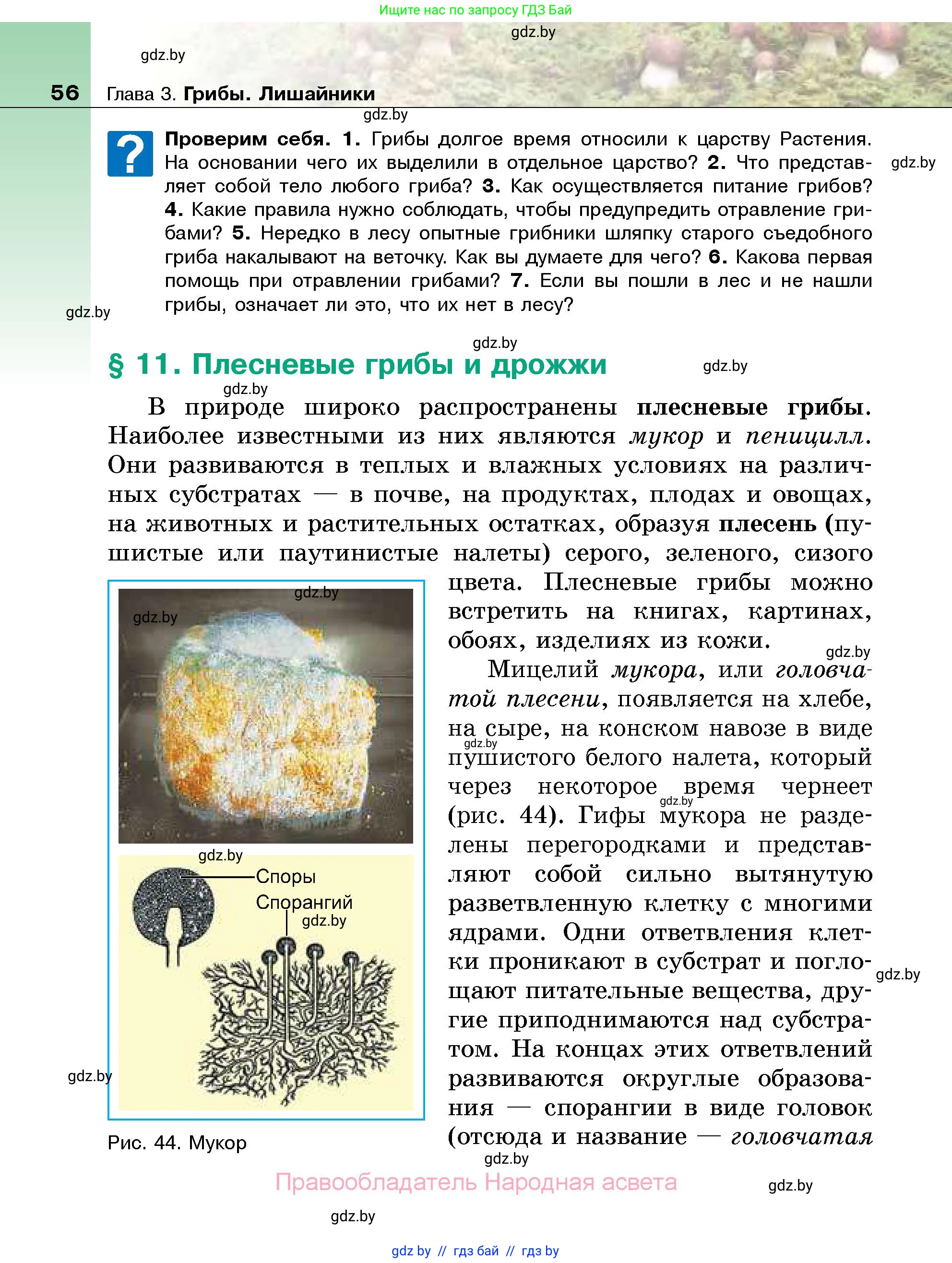 Биология, 7 класс Учебник, автор: Лисов Николай Дмитриевич, издательство Народная асвета, Минск, 2022, зелёного цвета, страница 56