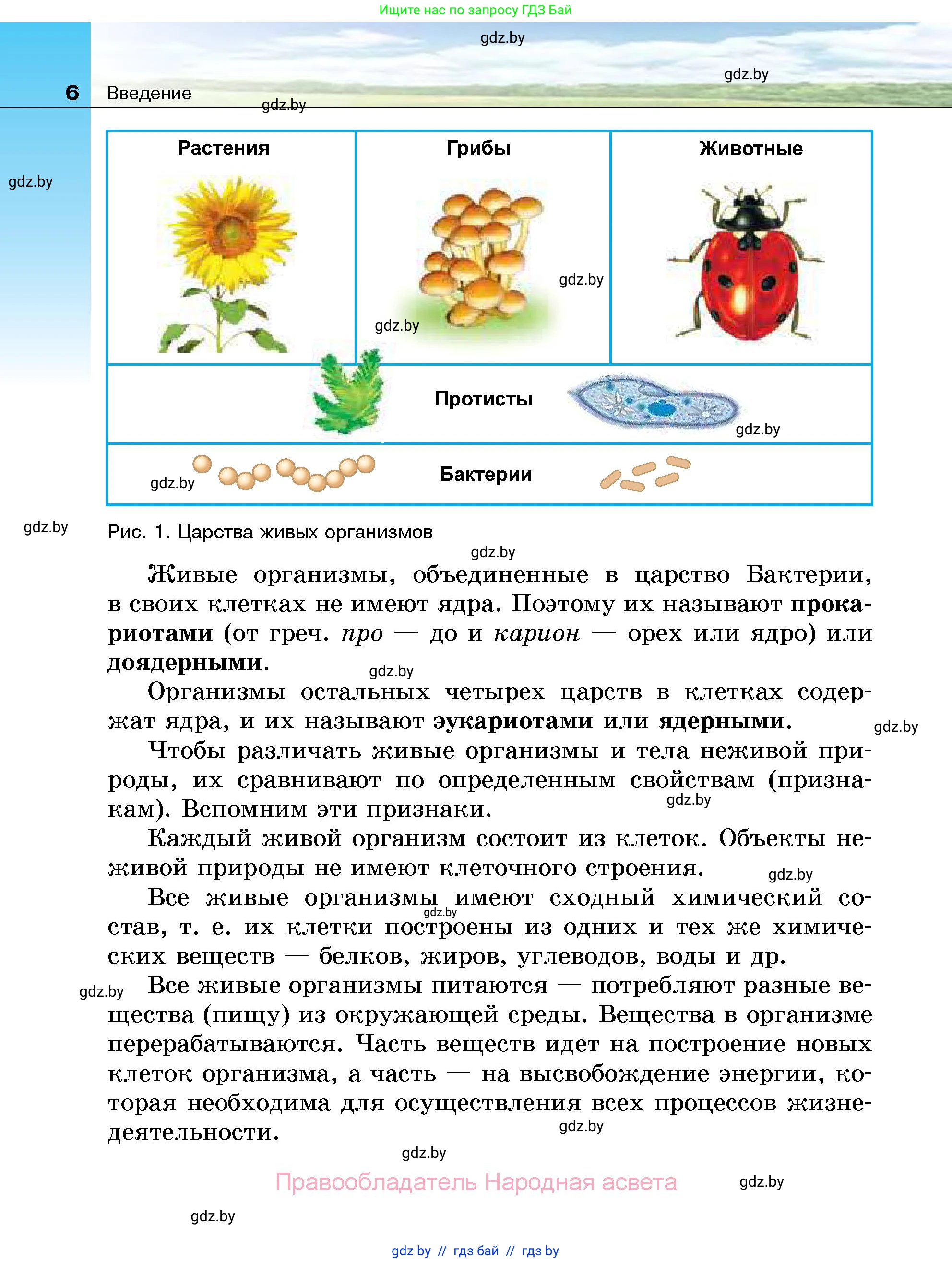 Биология, 7 класс Учебник, автор: Лисов Николай Дмитриевич, издательство Народная асвета, Минск, 2022, зелёного цвета, страница 6