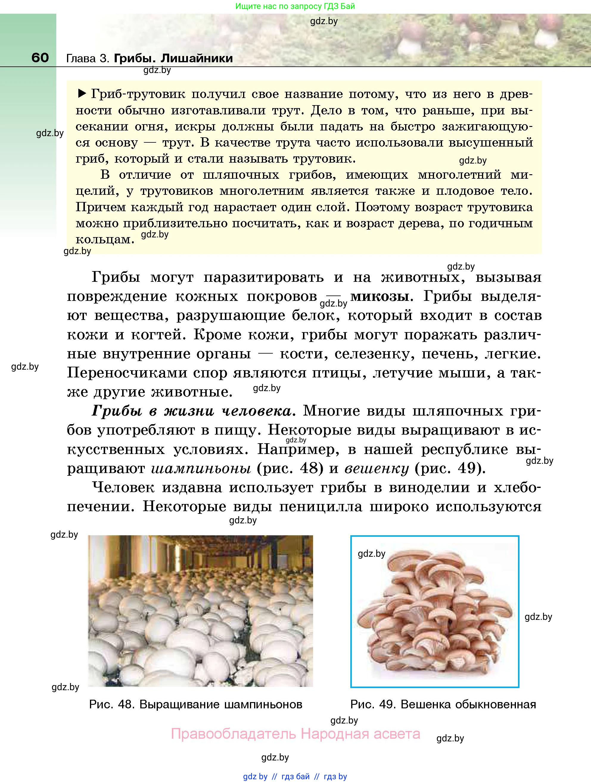 Биология, 7 класс Учебник, автор: Лисов Николай Дмитриевич, издательство Народная асвета, Минск, 2022, зелёного цвета, страница 60