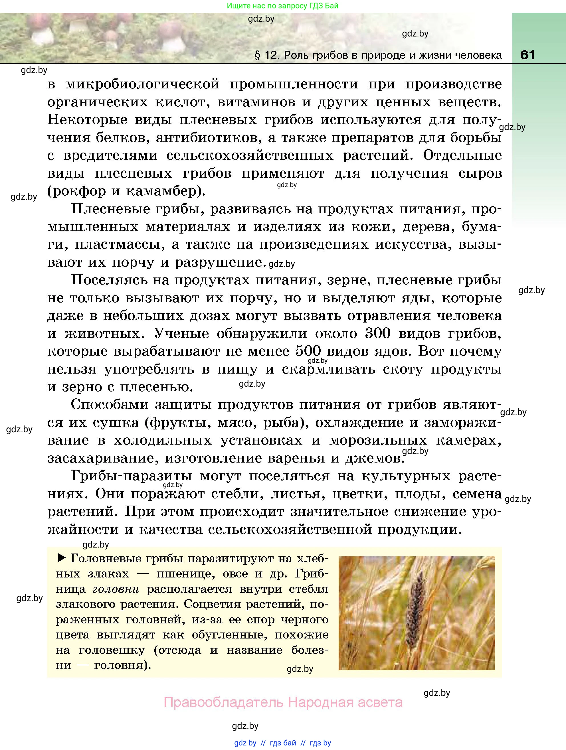Биология, 7 класс Учебник, автор: Лисов Николай Дмитриевич, издательство Народная асвета, Минск, 2022, зелёного цвета, страница 61