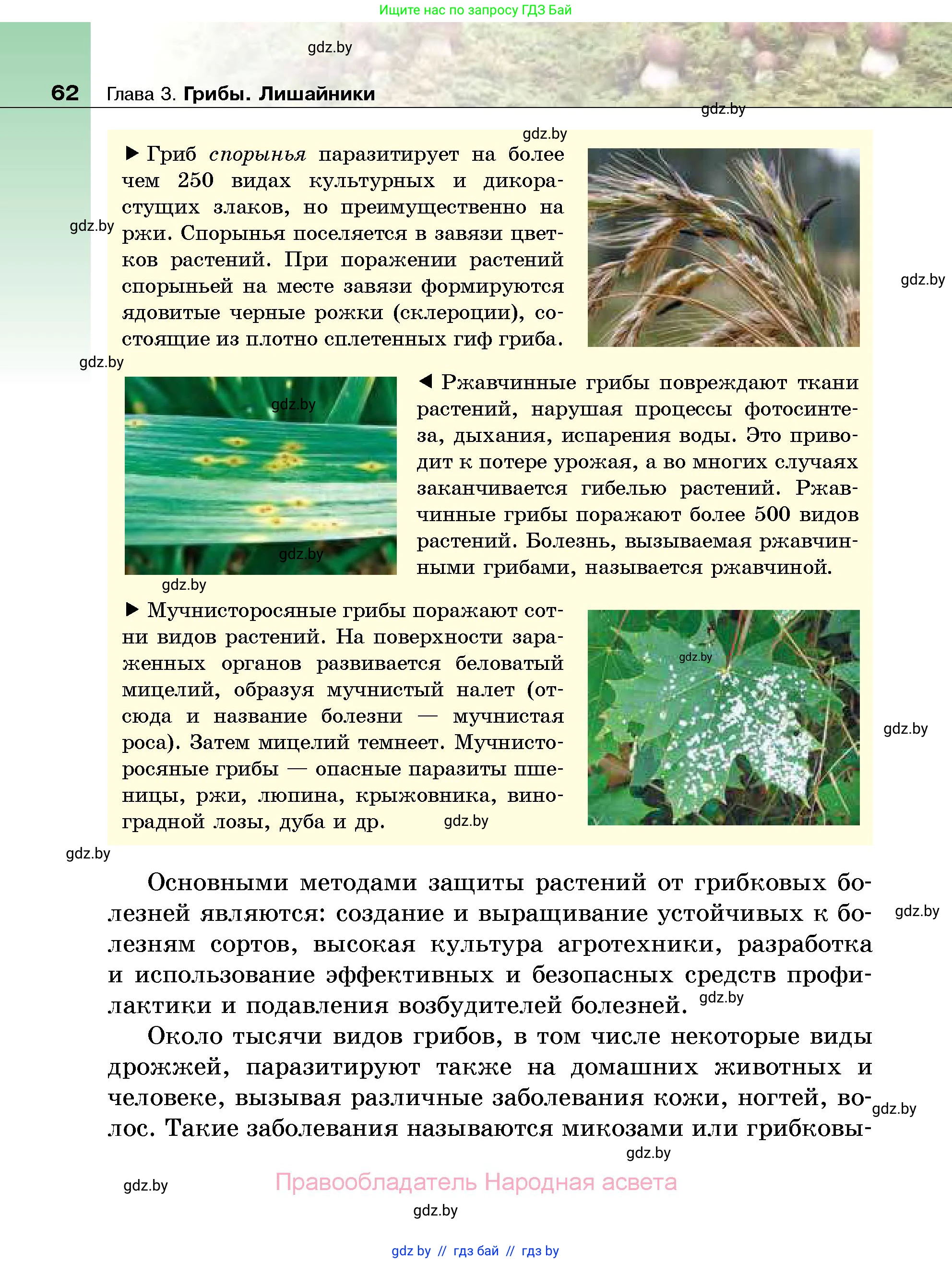 Биология, 7 класс Учебник, автор: Лисов Николай Дмитриевич, издательство Народная асвета, Минск, 2022, зелёного цвета, страница 62