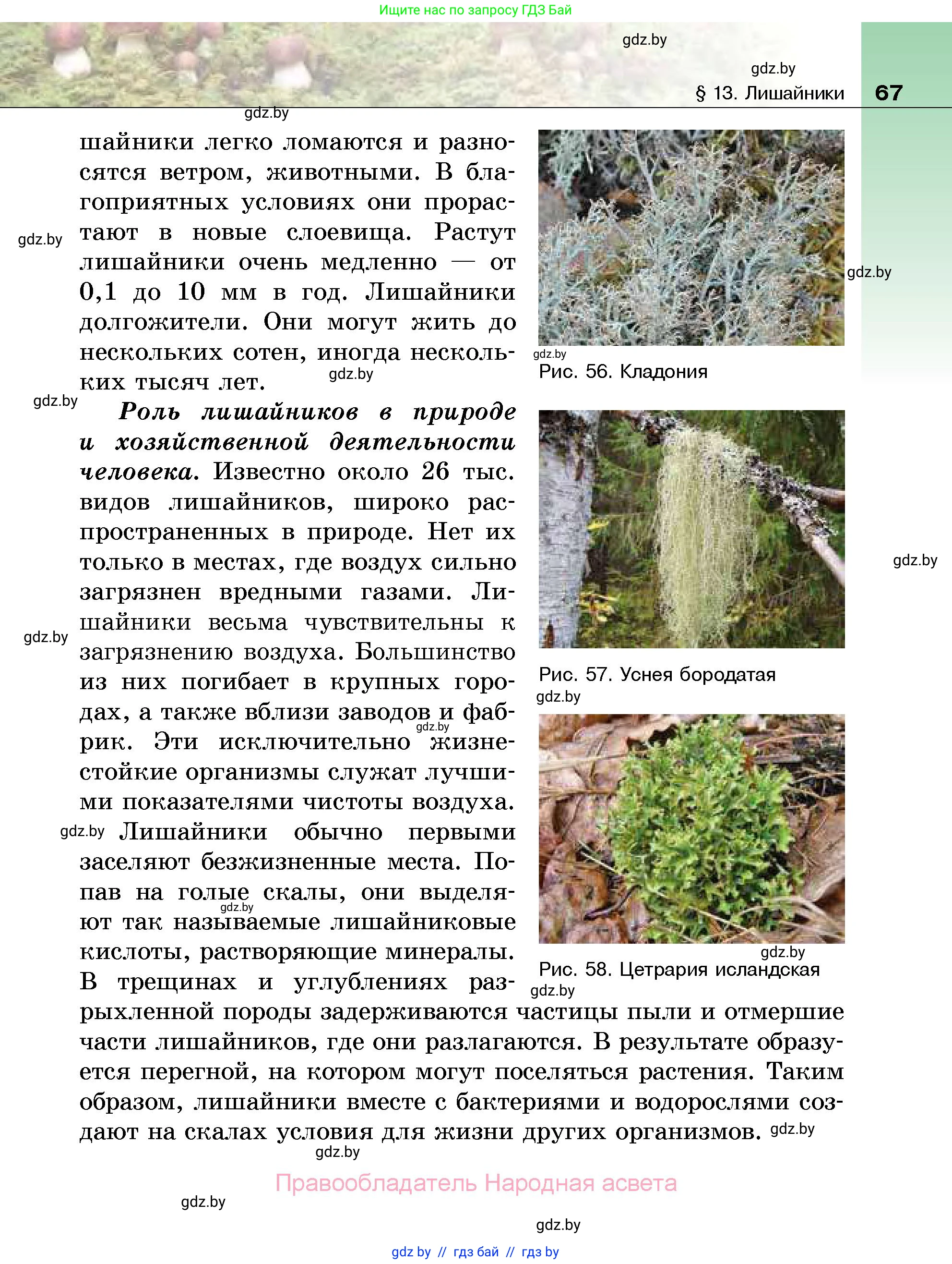 Биология, 7 класс Учебник, автор: Лисов Николай Дмитриевич, издательство Народная асвета, Минск, 2022, зелёного цвета, страница 67