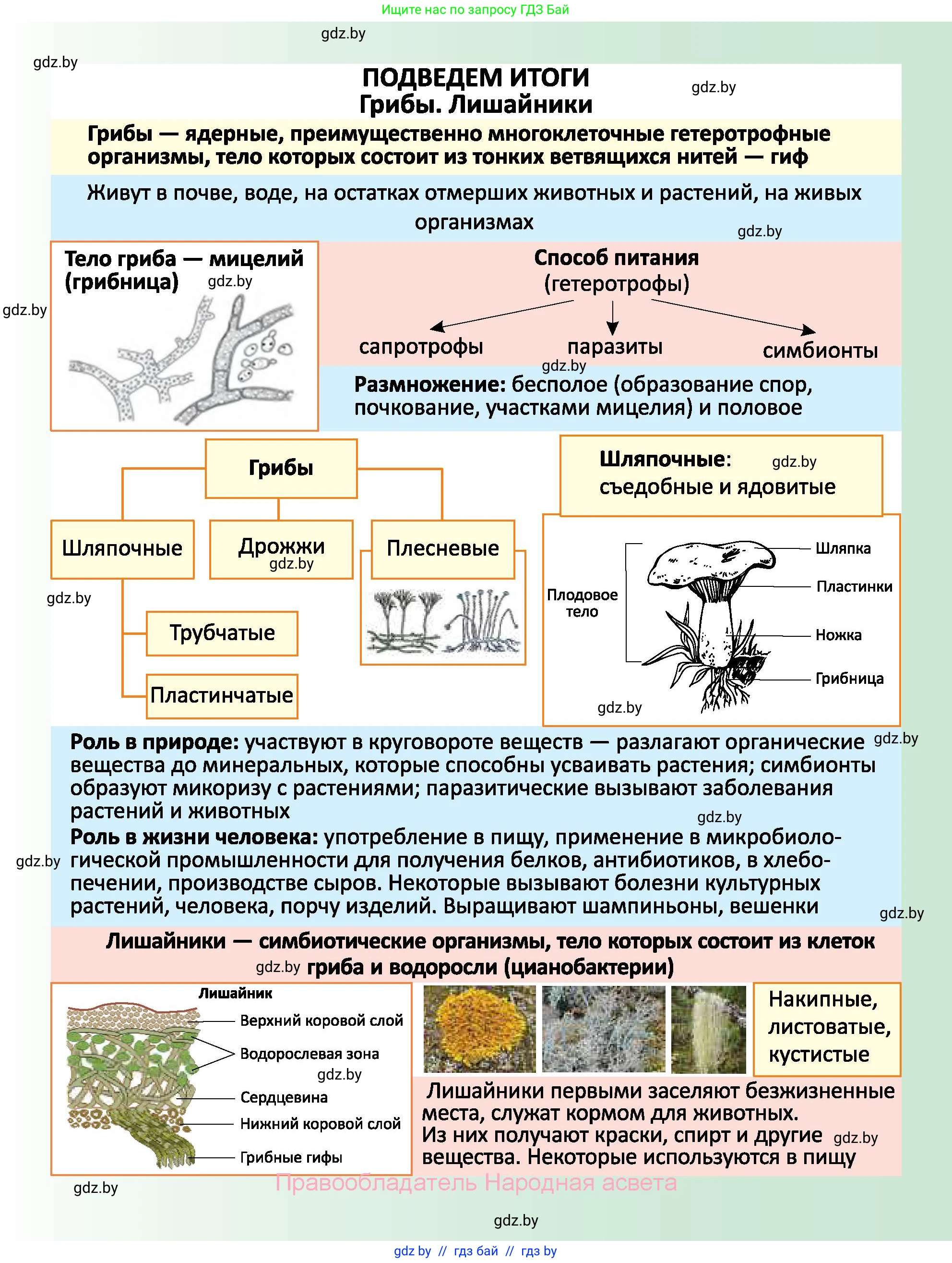 Биология, 7 класс Учебник, автор: Лисов Николай Дмитриевич, издательство Народная асвета, Минск, 2022, зелёного цвета, страница 69
