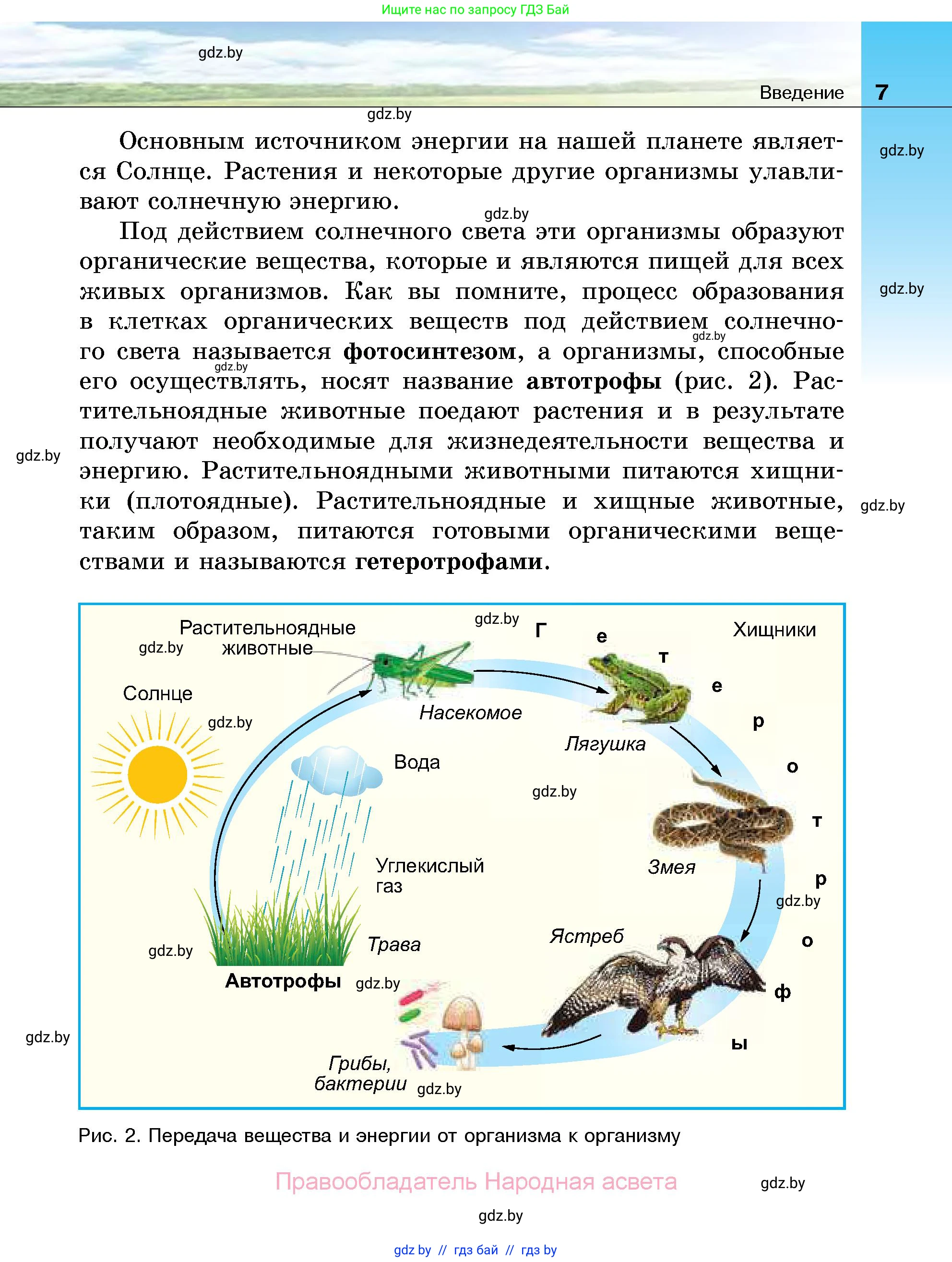 Биология, 7 класс Учебник, автор: Лисов Николай Дмитриевич, издательство Народная асвета, Минск, 2022, зелёного цвета, страница 7