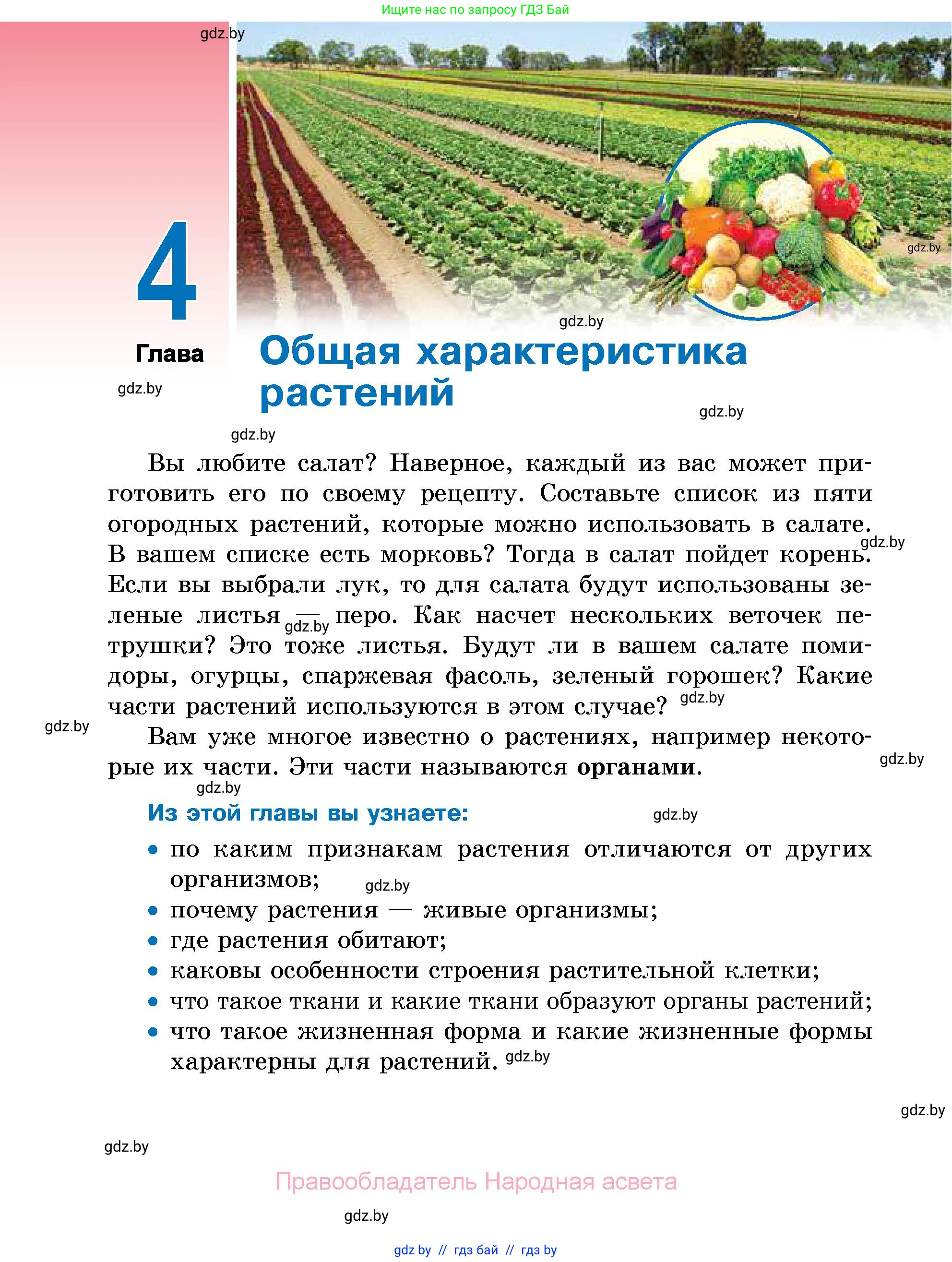 Биология, 7 класс Учебник, автор: Лисов Николай Дмитриевич, издательство Народная асвета, Минск, 2022, зелёного цвета, страница 70