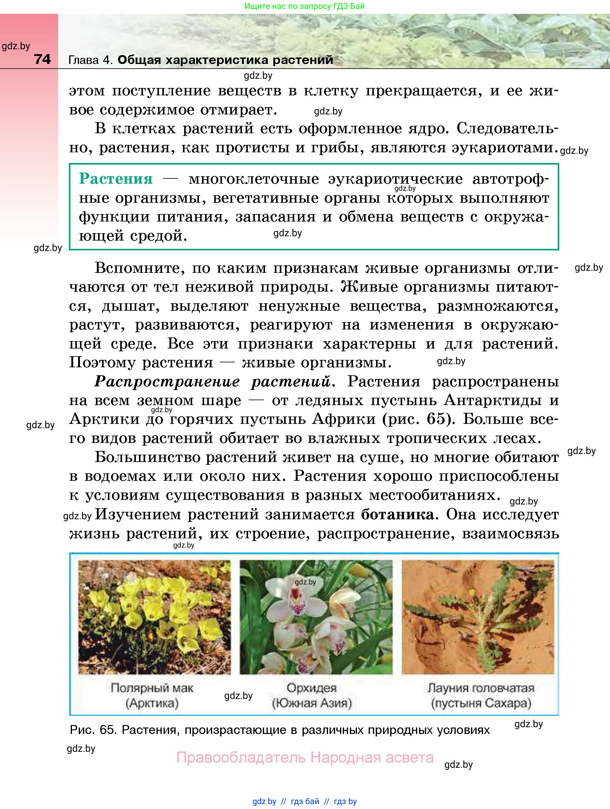 Биология, 7 класс Учебник, автор: Лисов Николай Дмитриевич, издательство Народная асвета, Минск, 2022, зелёного цвета, страница 74