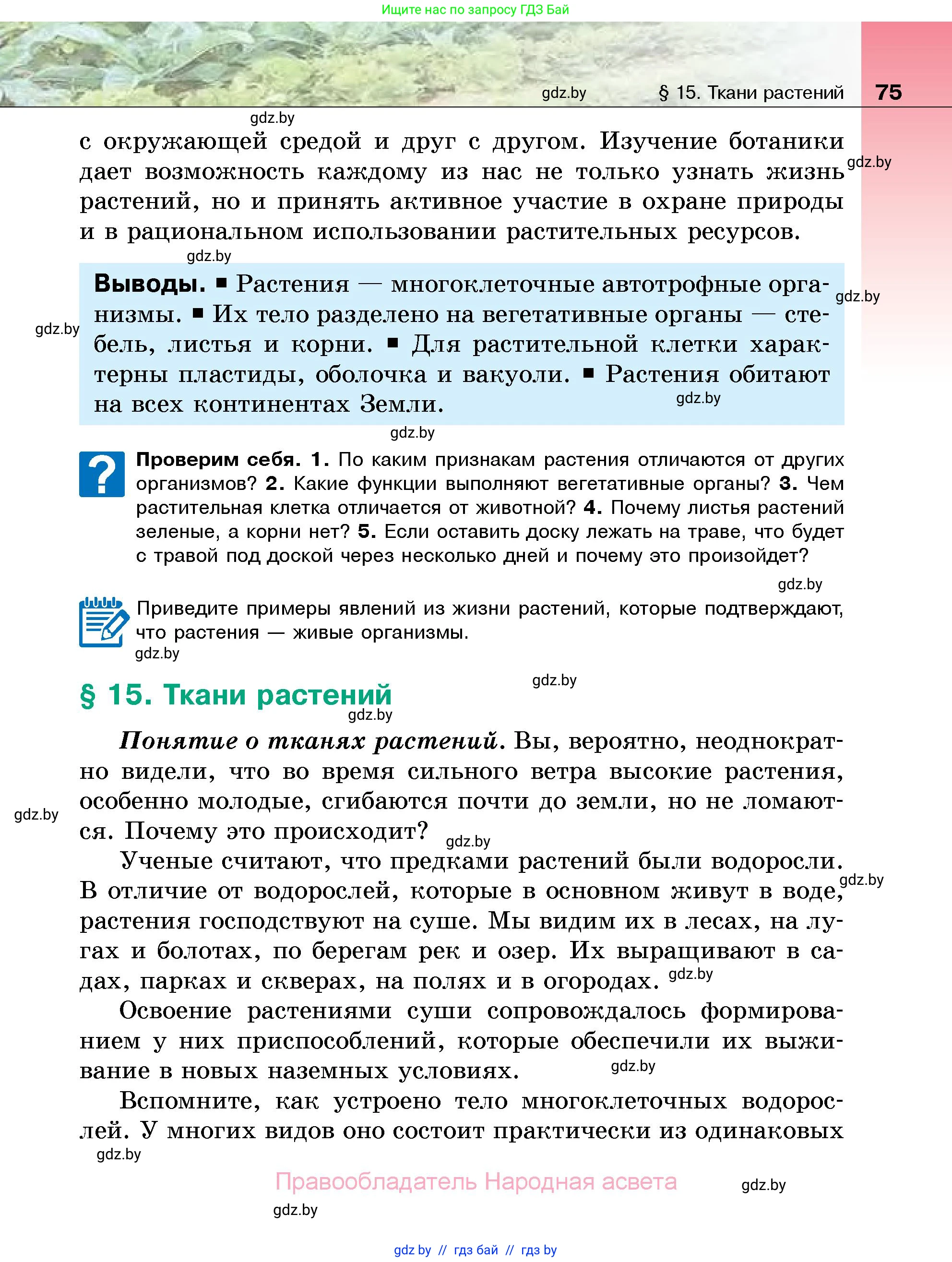 Биология, 7 класс Учебник, автор: Лисов Николай Дмитриевич, издательство Народная асвета, Минск, 2022, зелёного цвета, страница 75