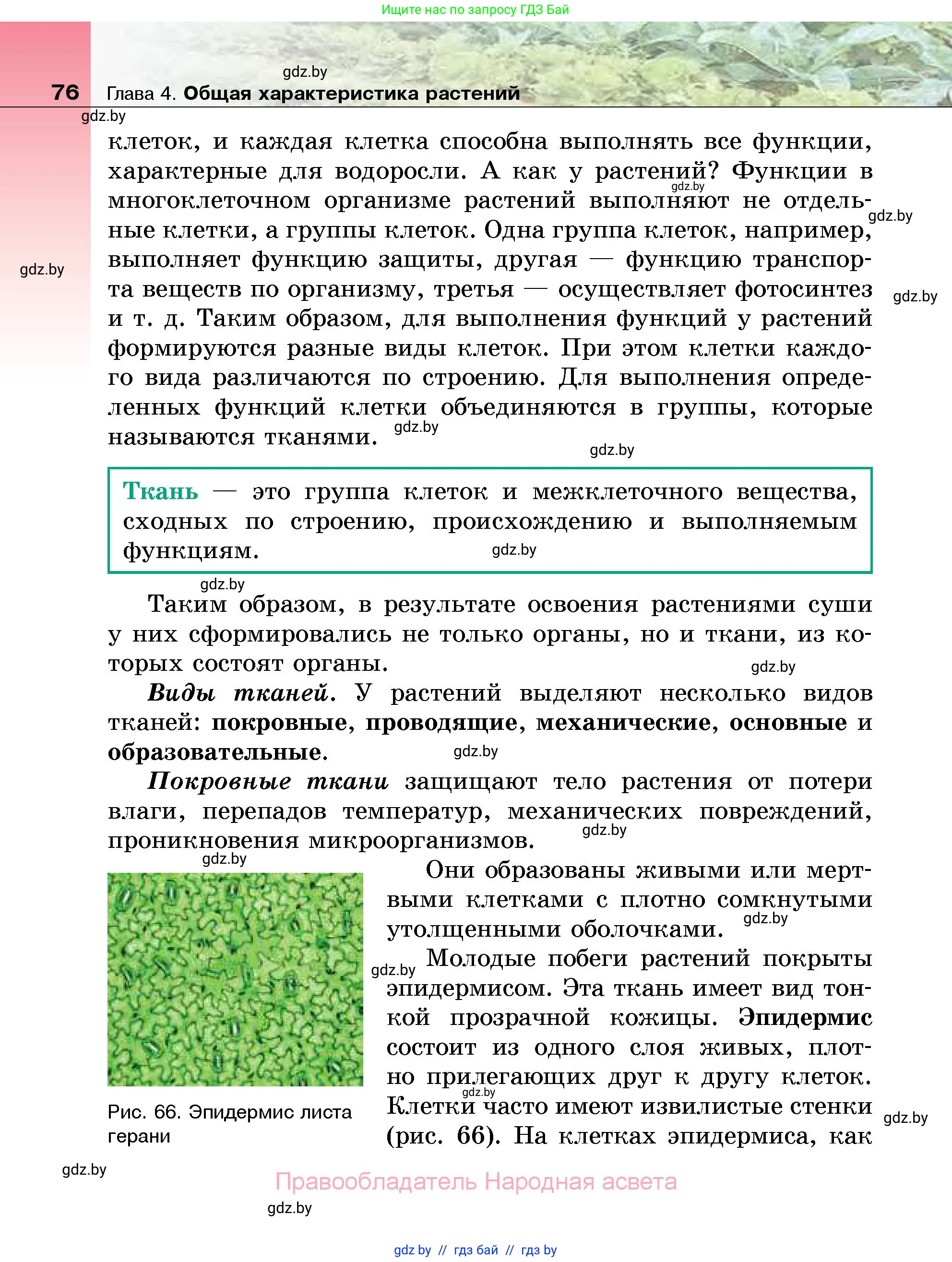 Биология, 7 класс Учебник, автор: Лисов Николай Дмитриевич, издательство Народная асвета, Минск, 2022, зелёного цвета, страница 76