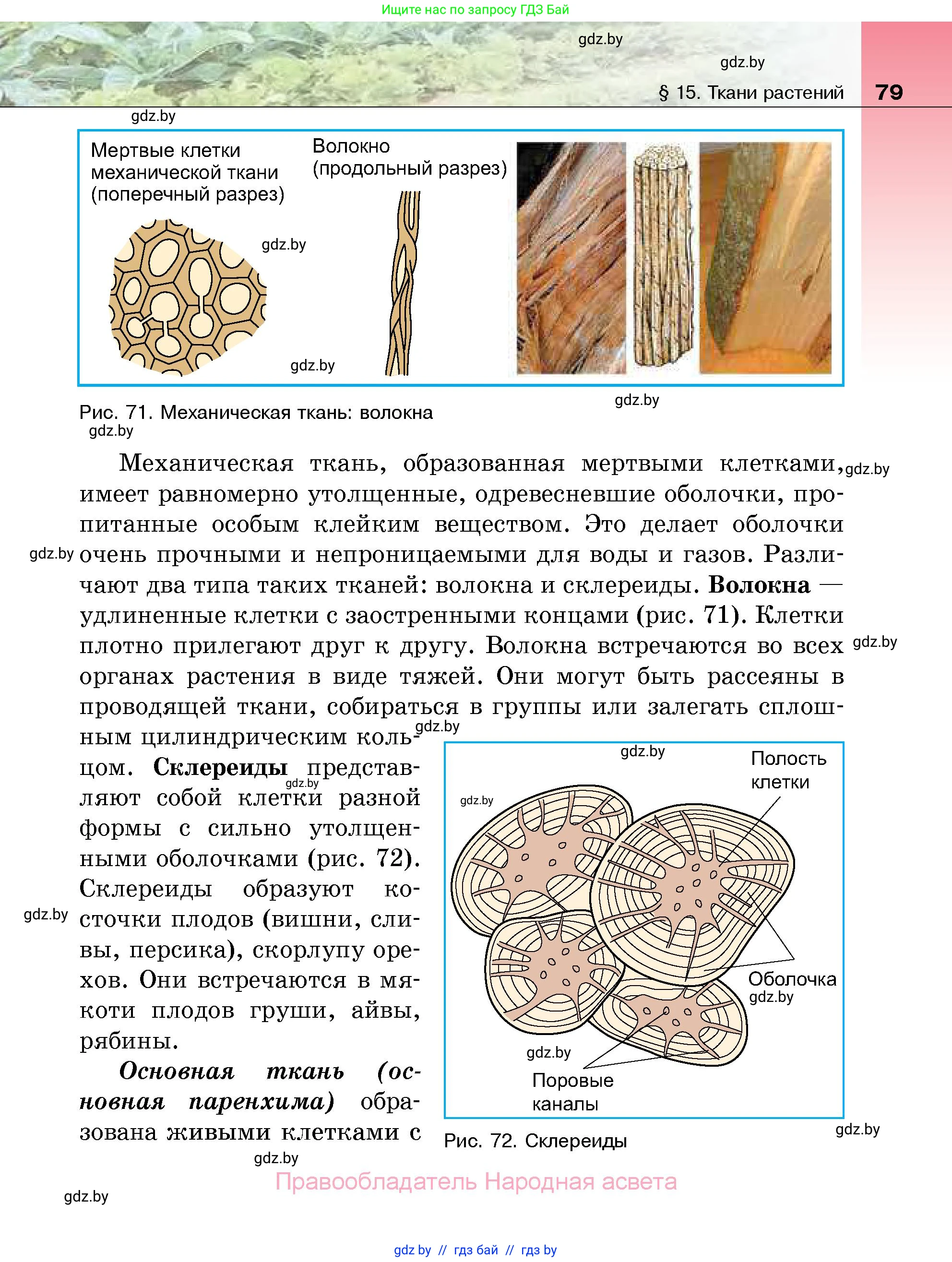 Биология, 7 класс Учебник, автор: Лисов Николай Дмитриевич, издательство Народная асвета, Минск, 2022, зелёного цвета, страница 79