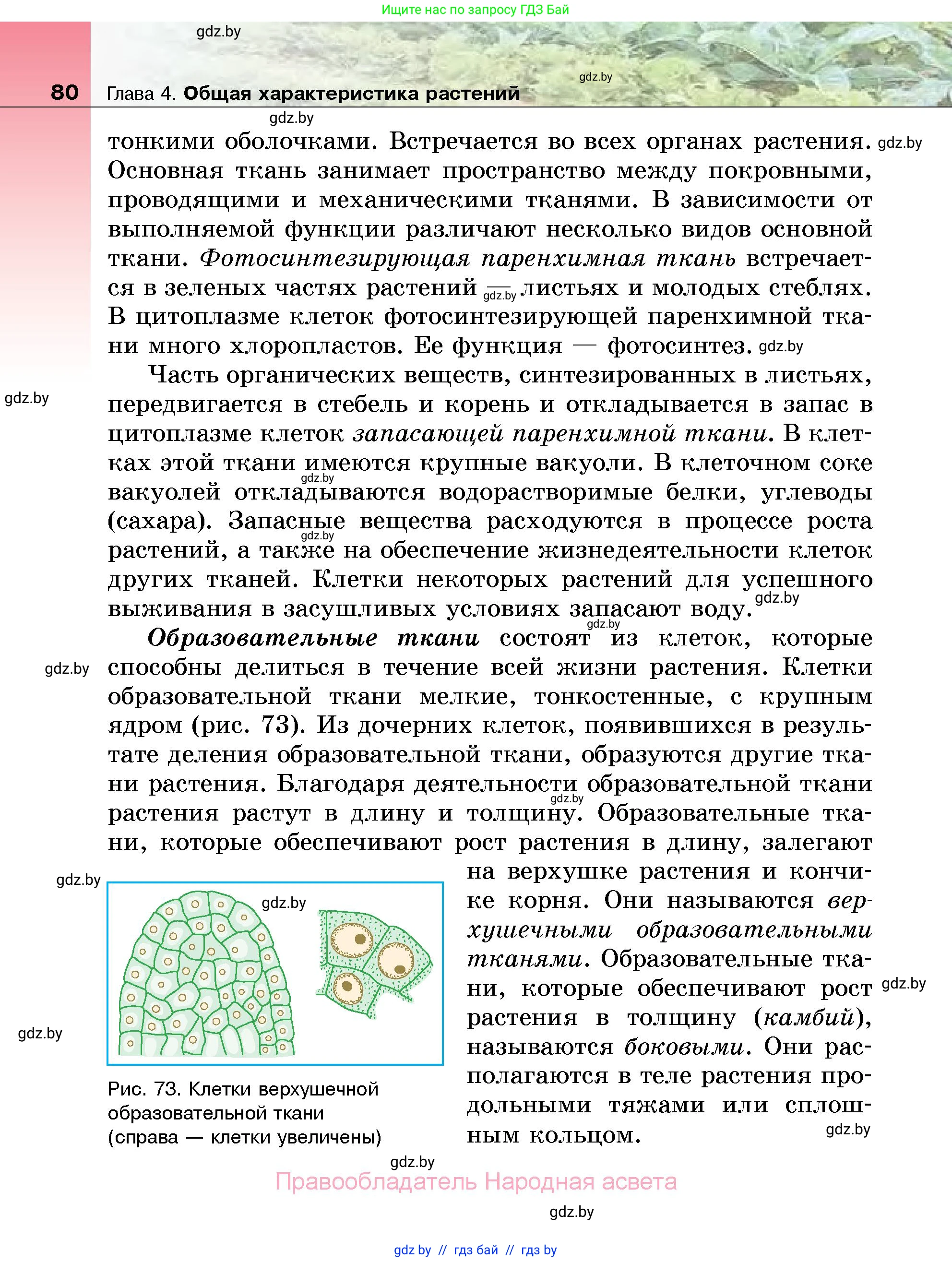 Биология, 7 класс Учебник, автор: Лисов Николай Дмитриевич, издательство Народная асвета, Минск, 2022, зелёного цвета, страница 80