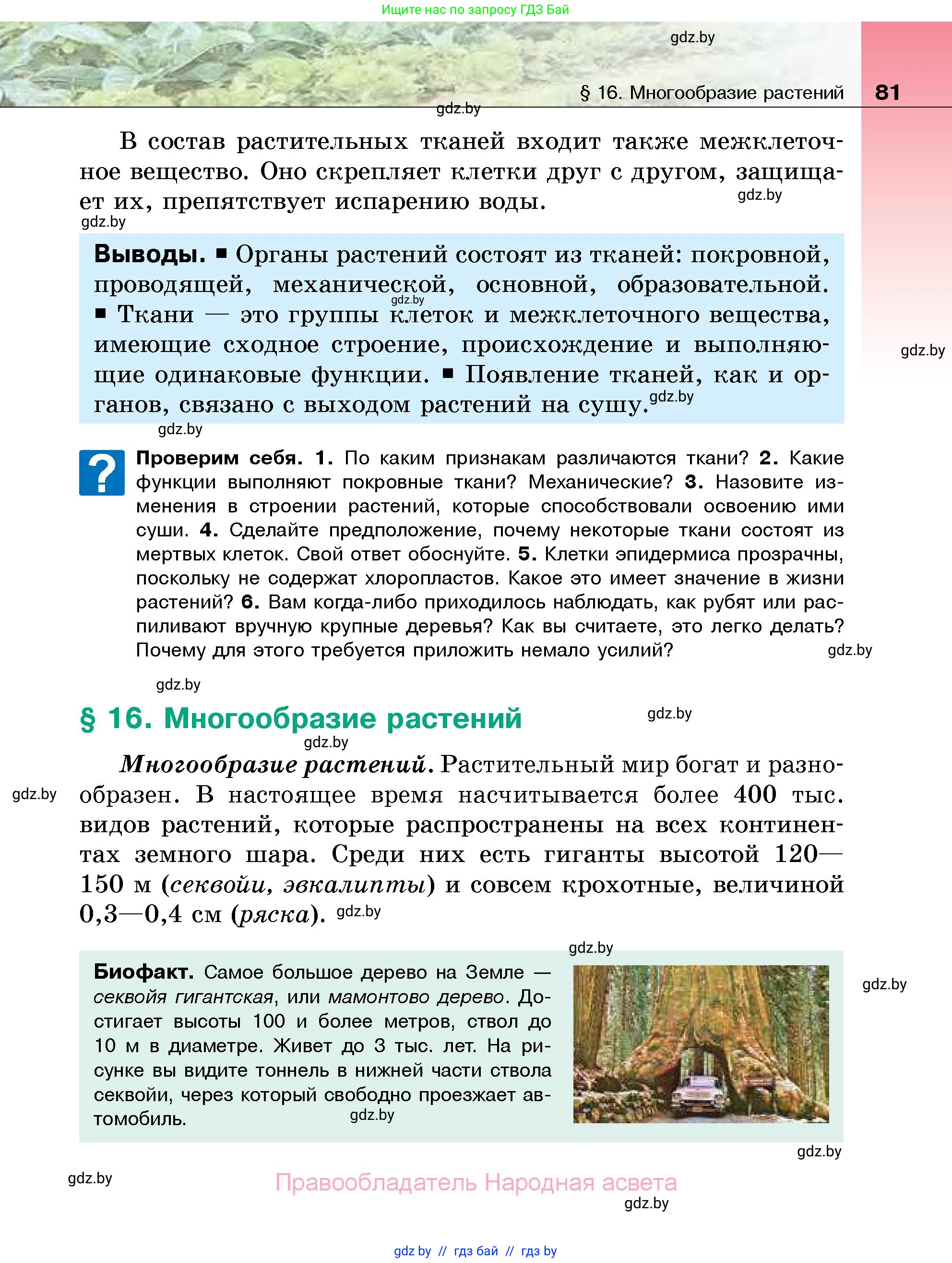 Биология, 7 класс Учебник, автор: Лисов Николай Дмитриевич, издательство Народная асвета, Минск, 2022, зелёного цвета, страница 81