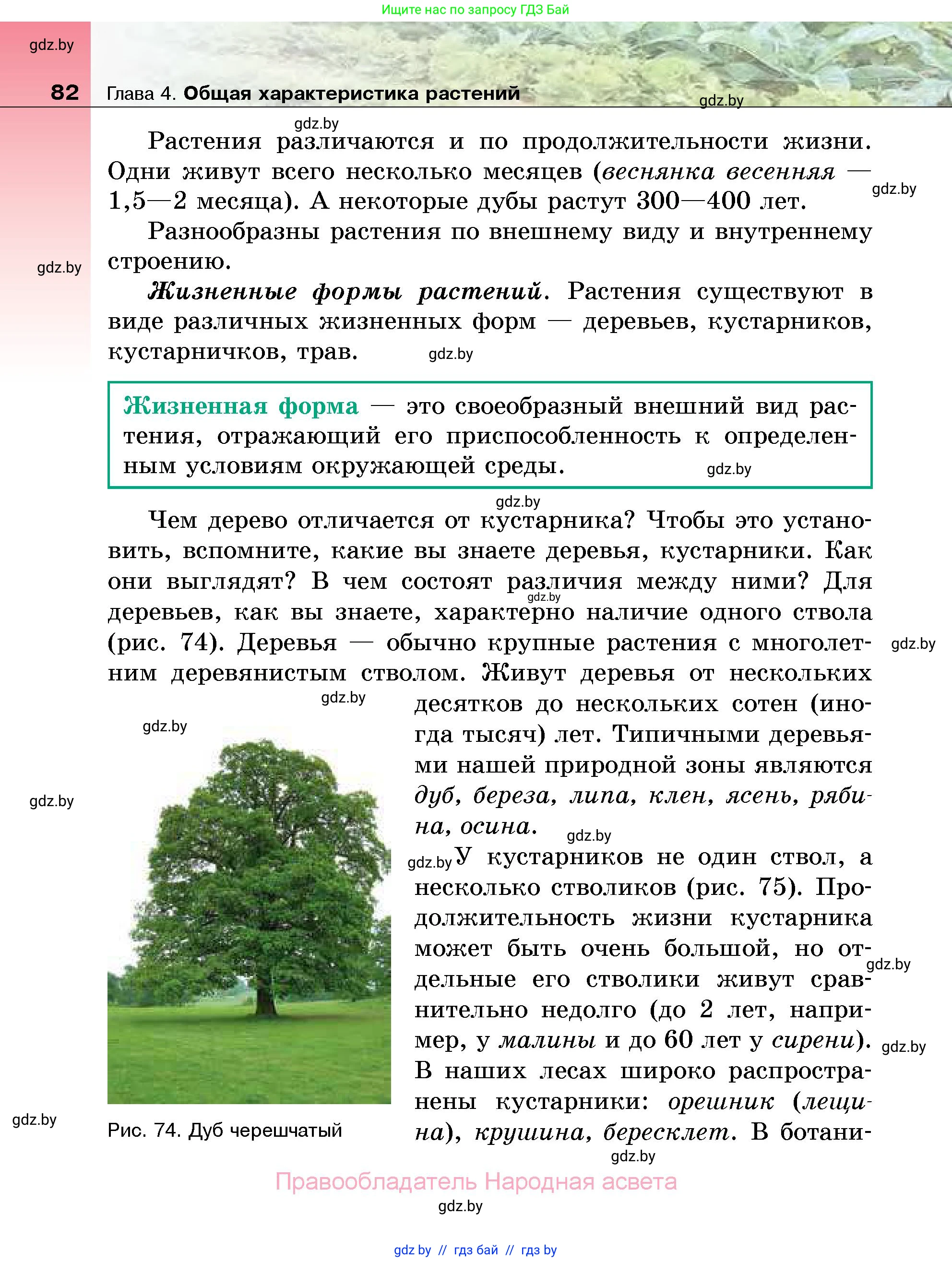 Биология, 7 класс Учебник, автор: Лисов Николай Дмитриевич, издательство Народная асвета, Минск, 2022, зелёного цвета, страница 82