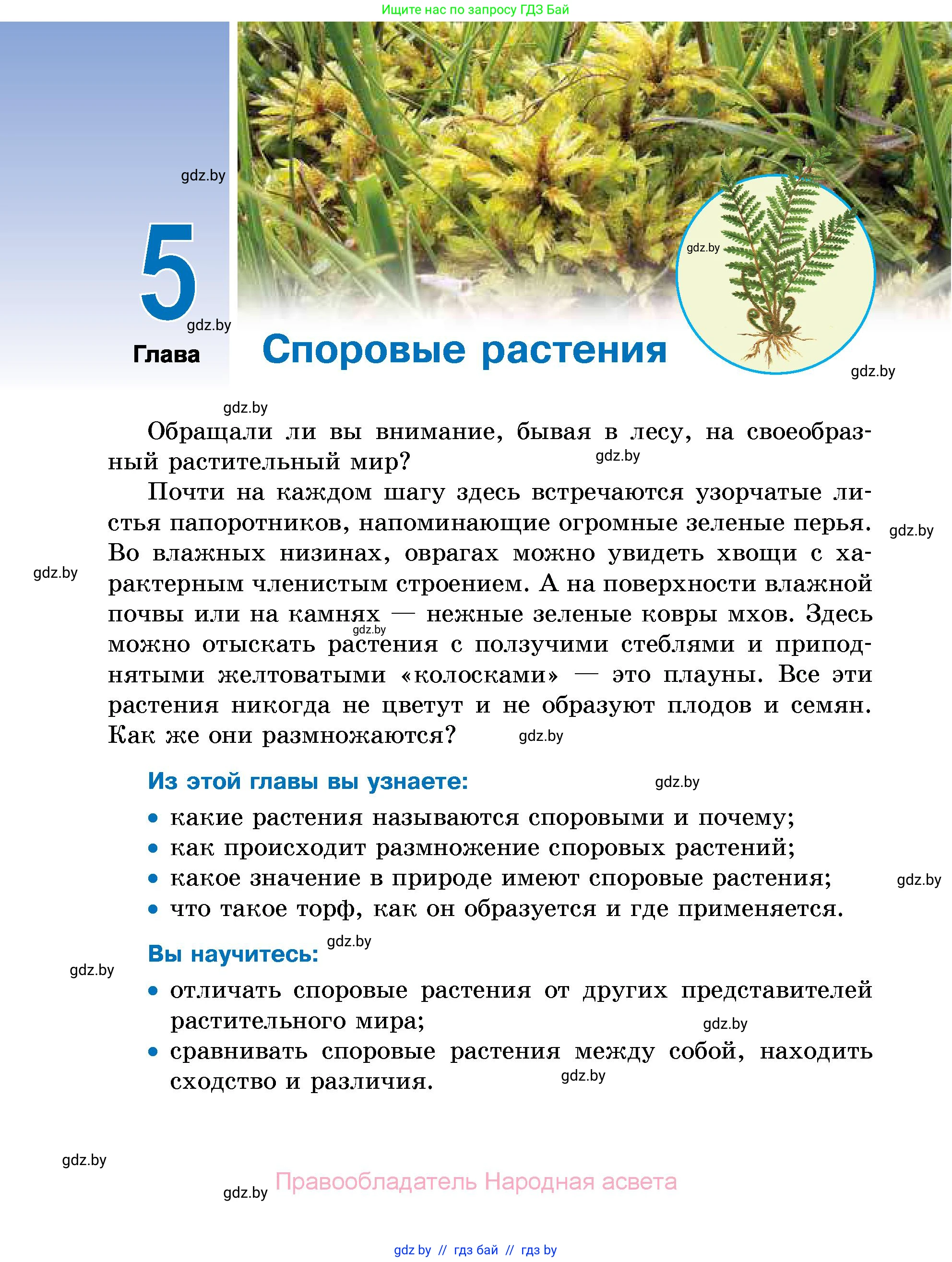 Биология, 7 класс Учебник, автор: Лисов Николай Дмитриевич, издательство Народная асвета, Минск, 2022, зелёного цвета, страница 88